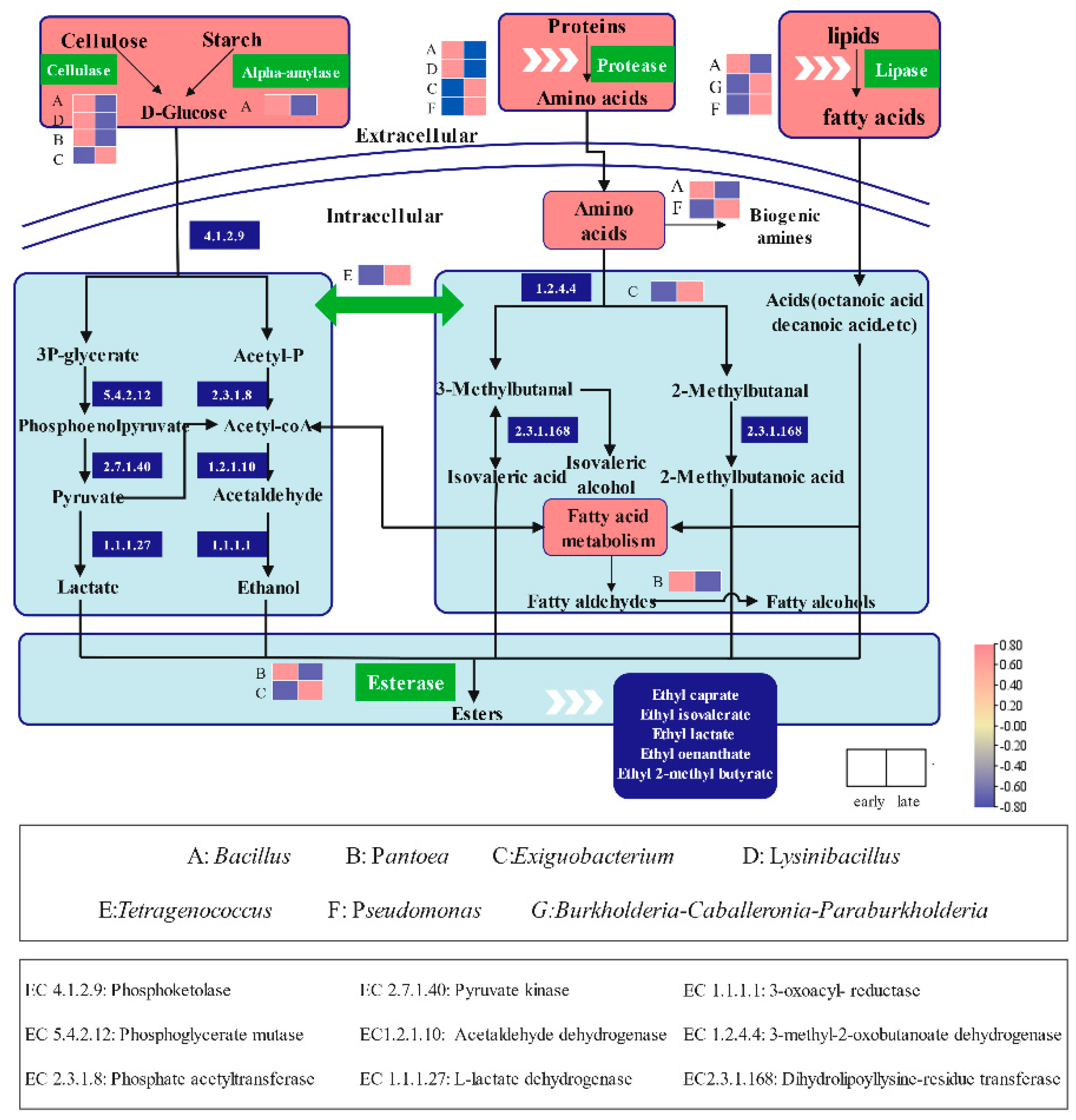 Molecules 27 04933 g007 550