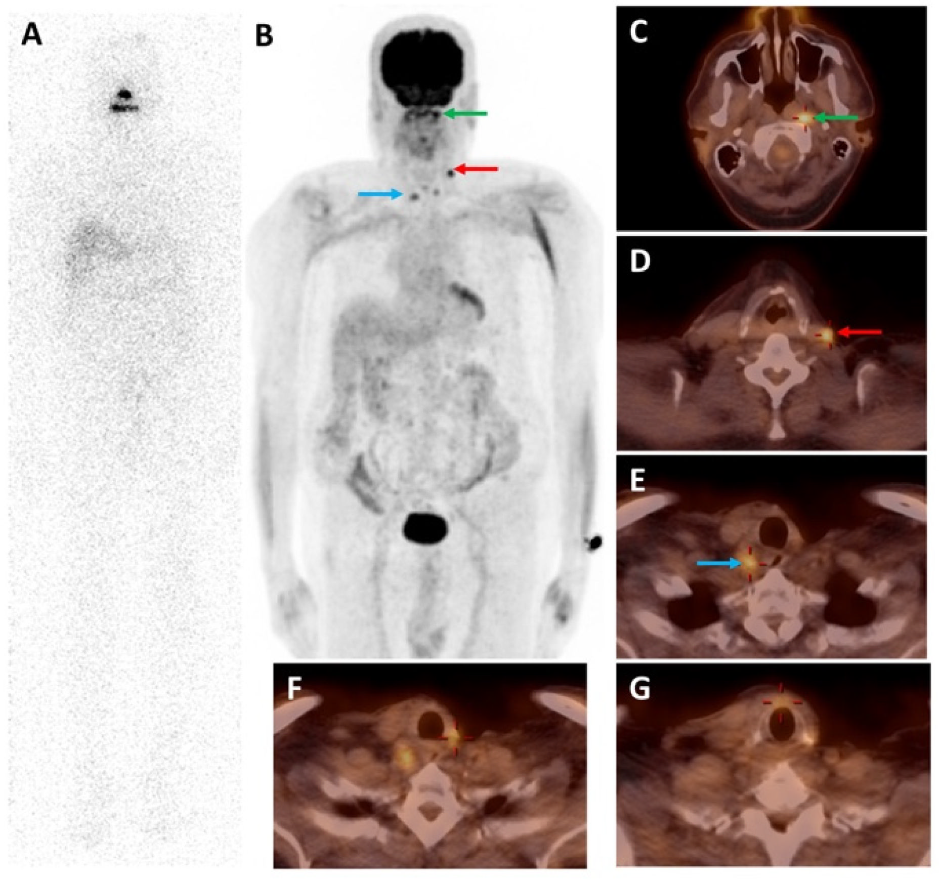 Molecules 27 04936 g002 550