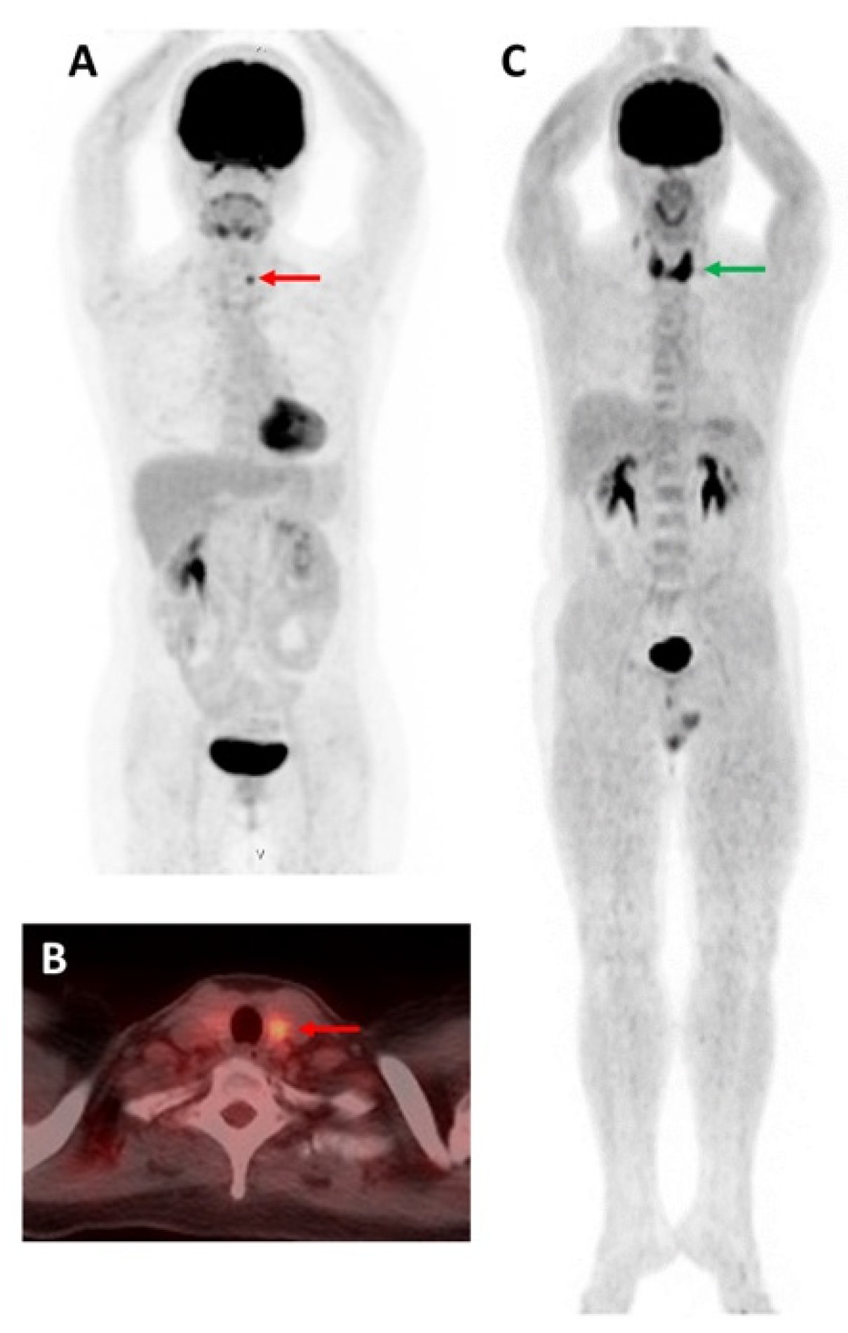 Molecules 27 04936 g003 550