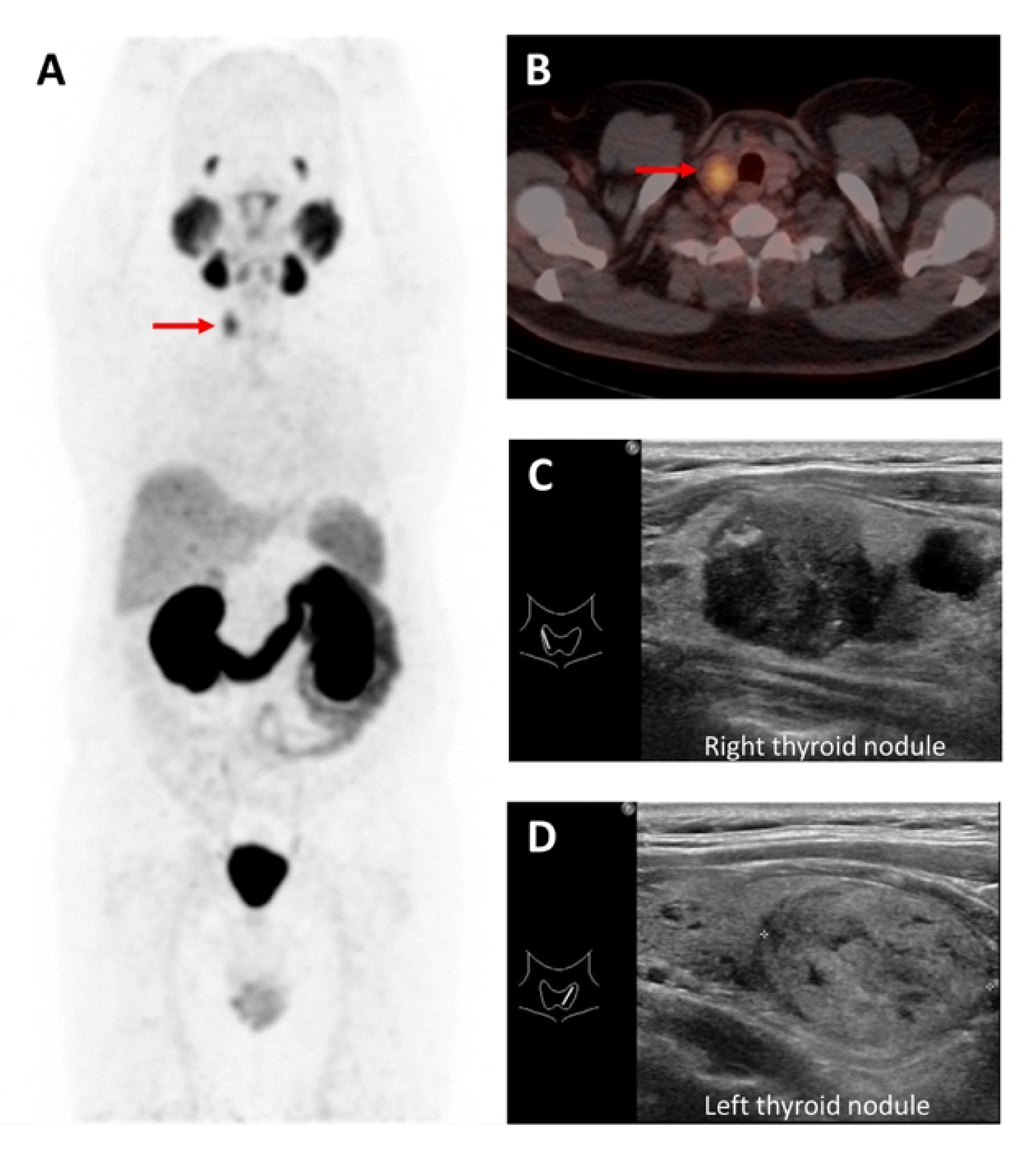 Molecules 27 04936 g004 550