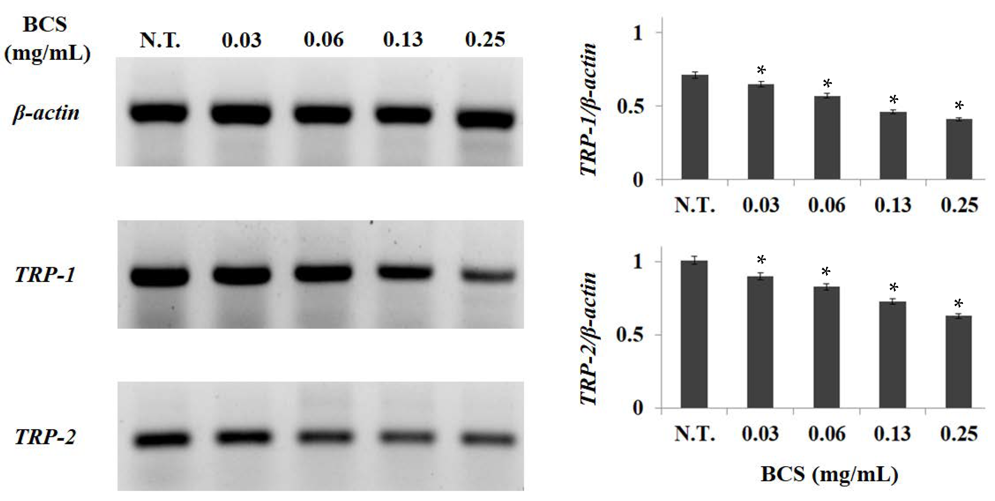 Molecules 27 04940 g004