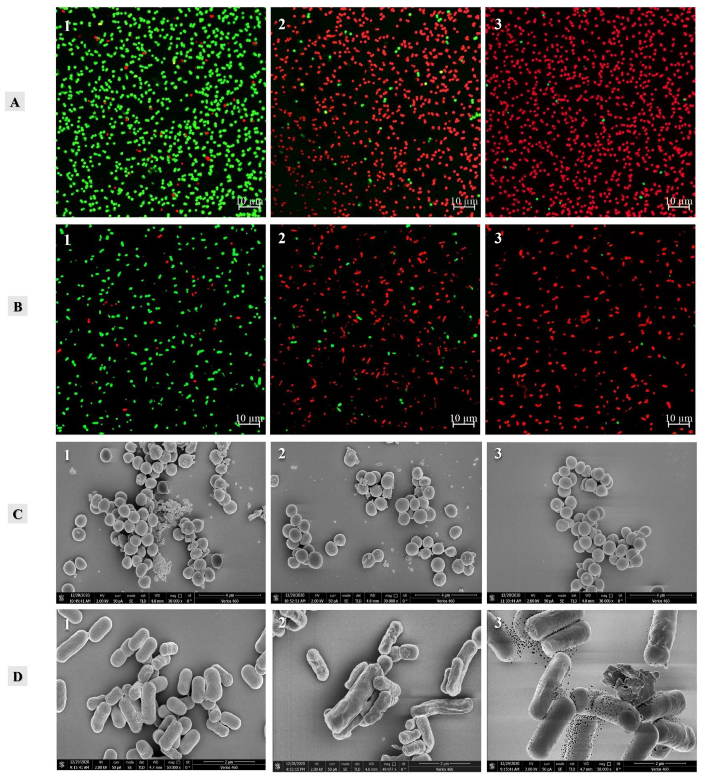 Molecules 27 04943 g004 550