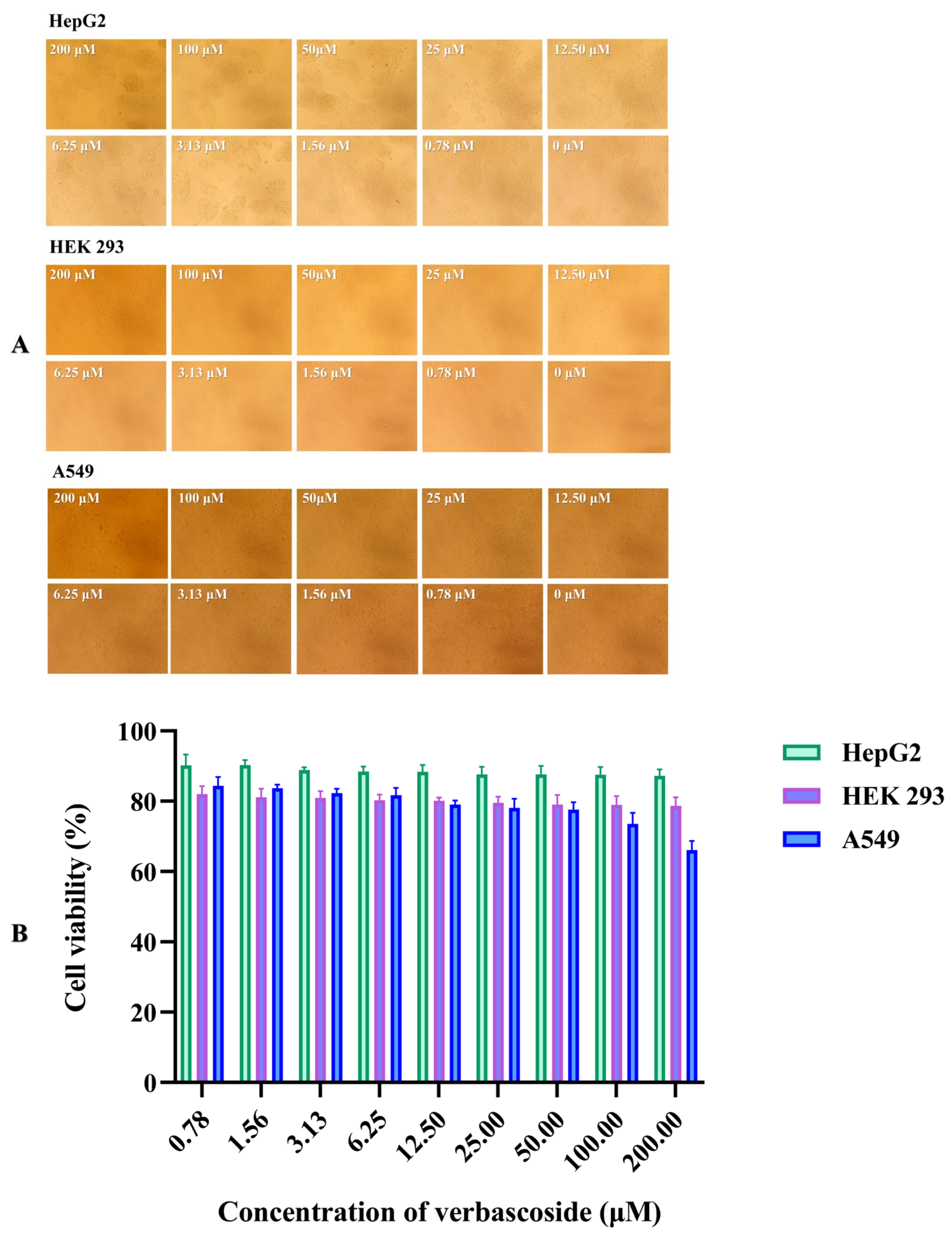 Molecules 27 04943 g006 550