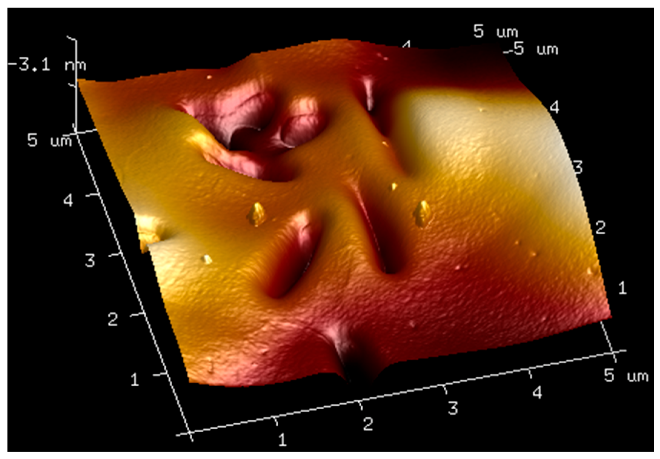 Molecules 27 04956 g007