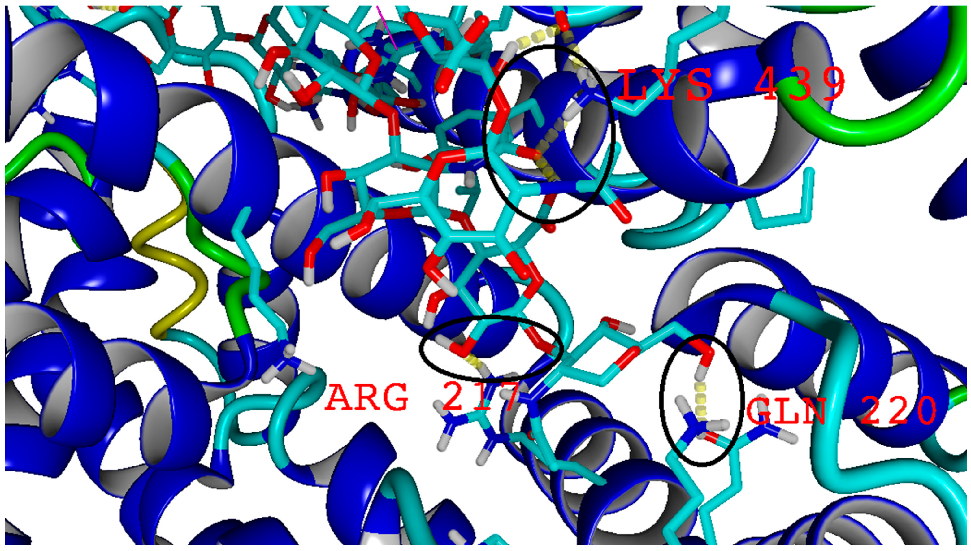 Molecules 27 04956 g010