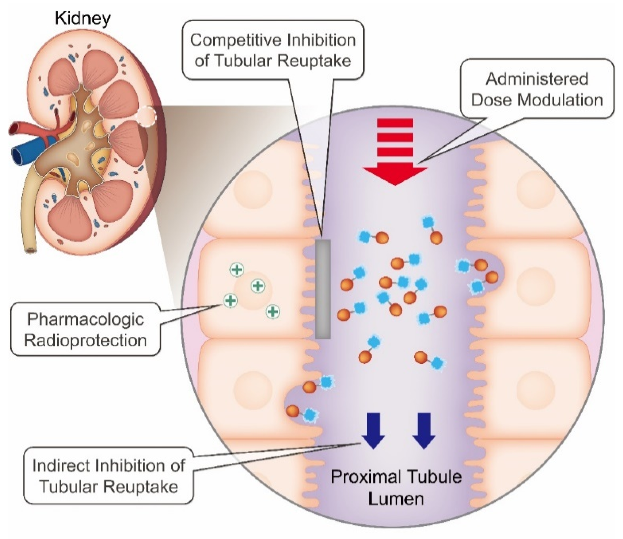 Molecules 27 04959 g001 Molecules 27 04959 g001