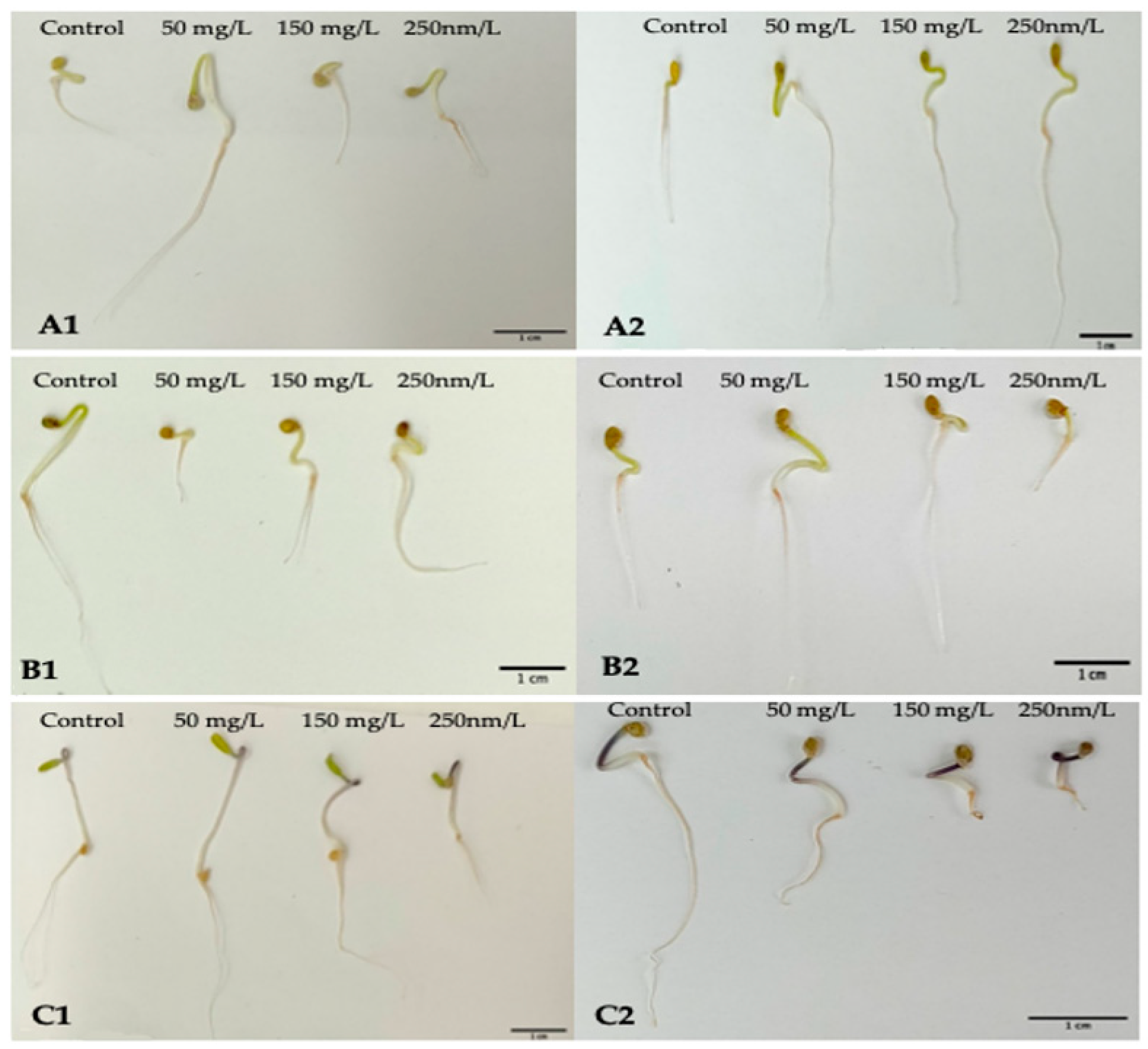 Molecules 27 04963 g009 550