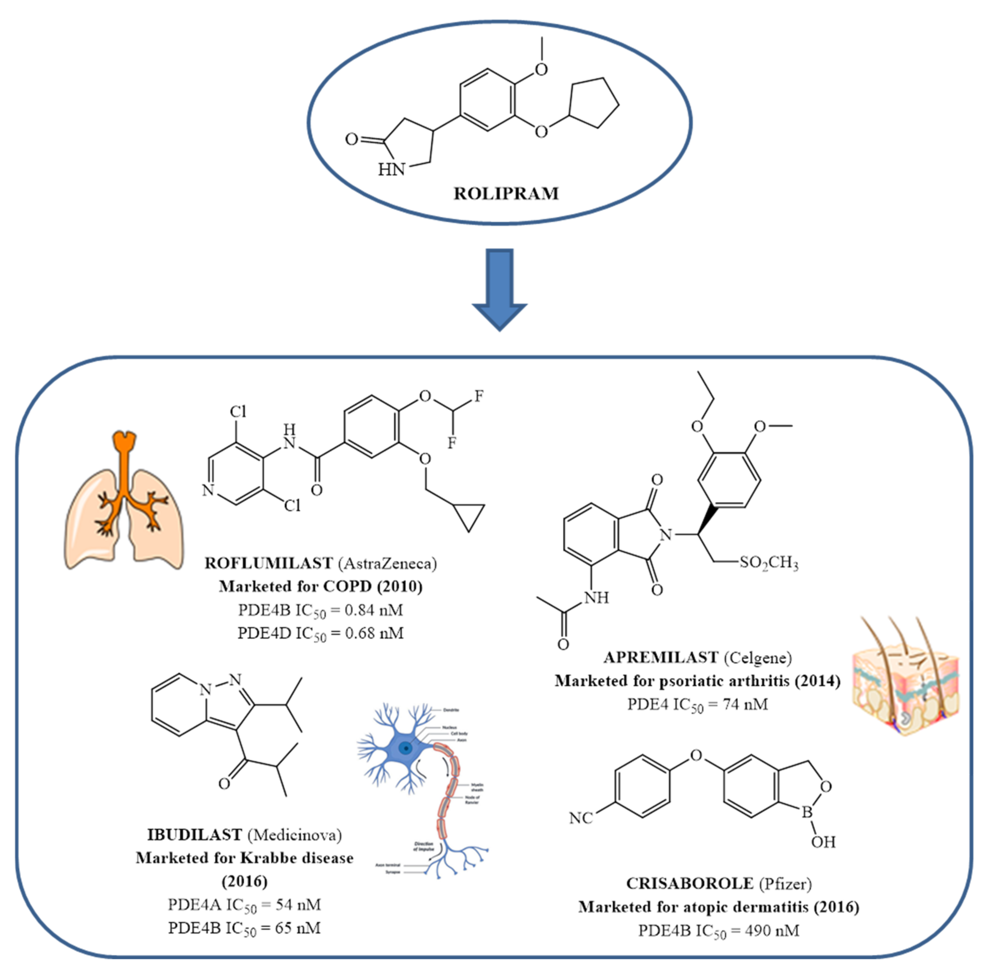 Molecules 27 04964 g004 550