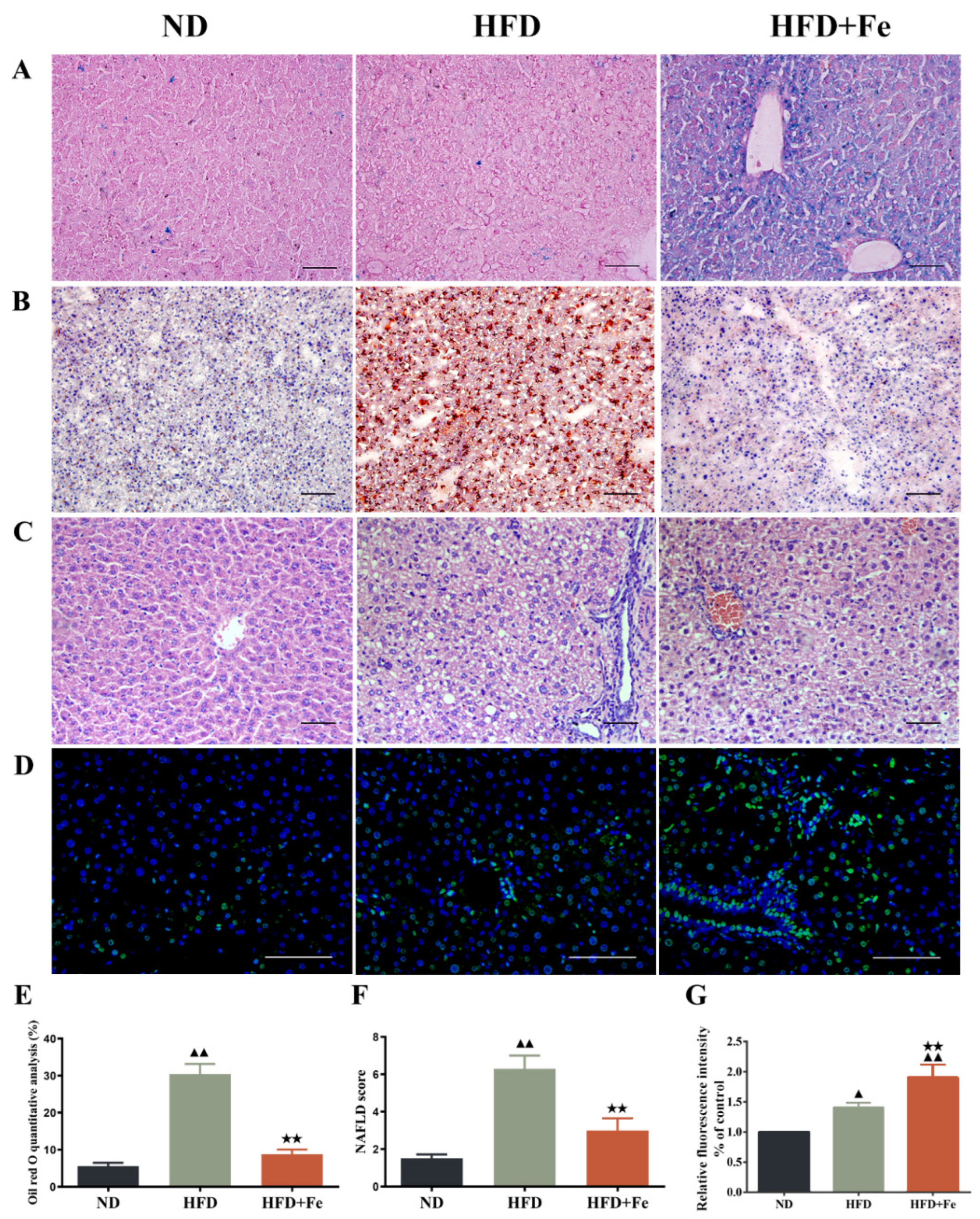 Molecules 27 04966 g001