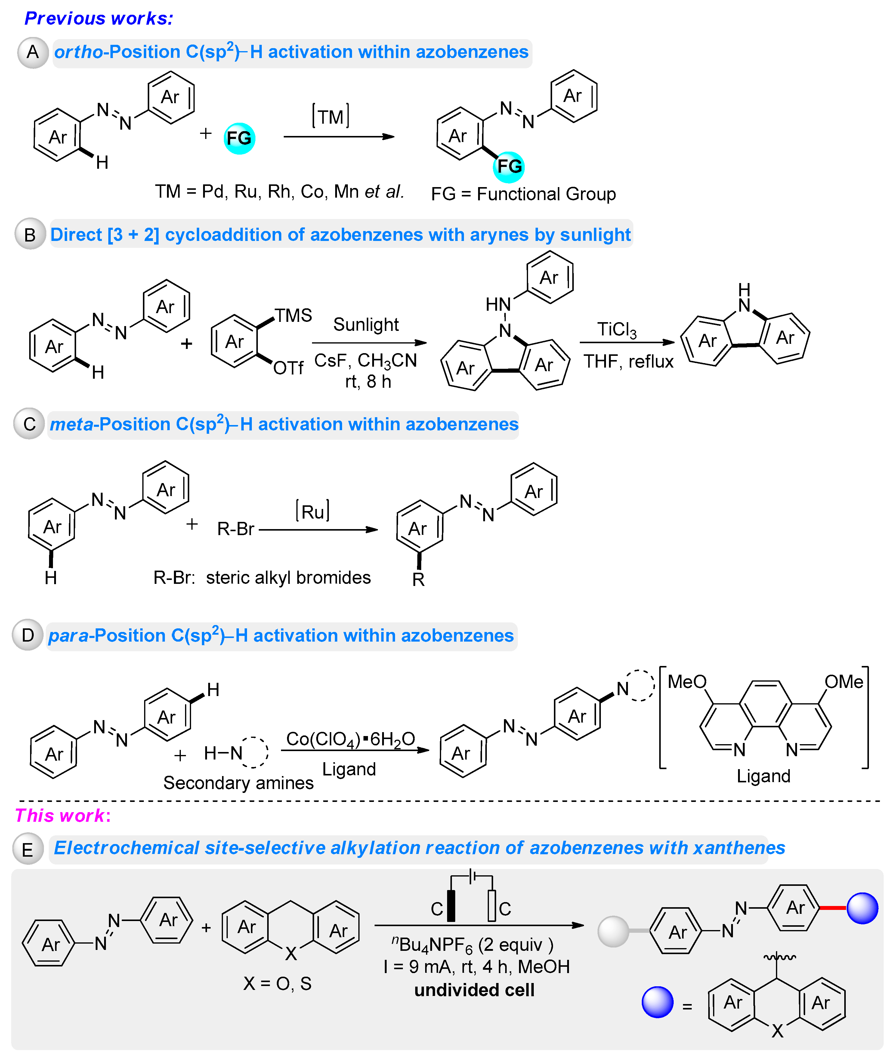Molecules 27 04967 sch001 550