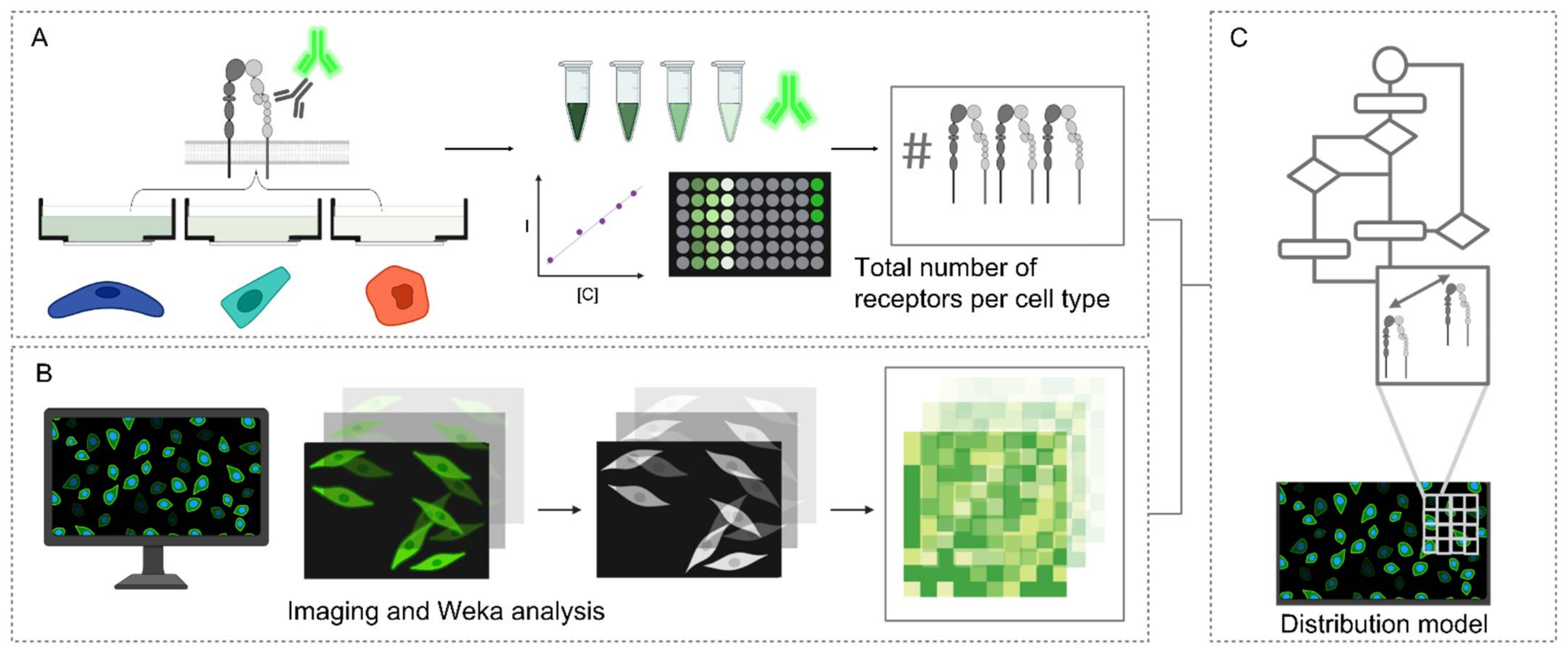 Molecules 27 04968 g002 Molecules 27 04968 g002