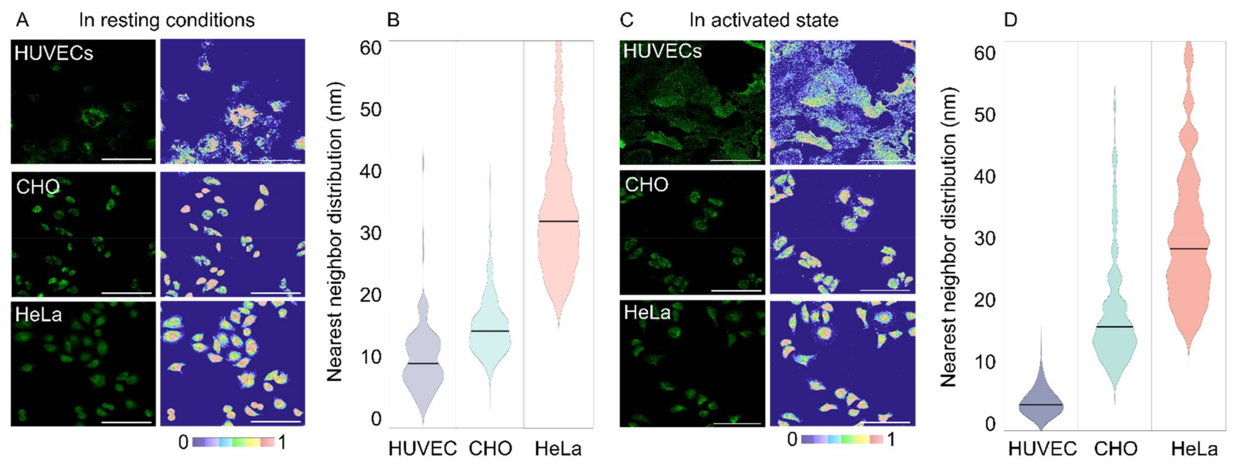Molecules 27 04968 g003 Molecules 27 04968 g003
