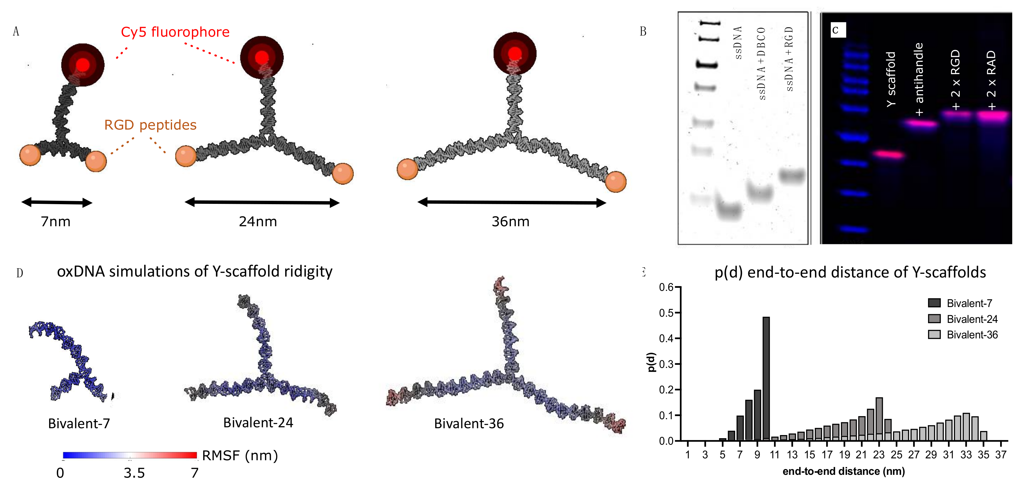 Molecules 27 04968 g004 Molecules 27 04968 g004