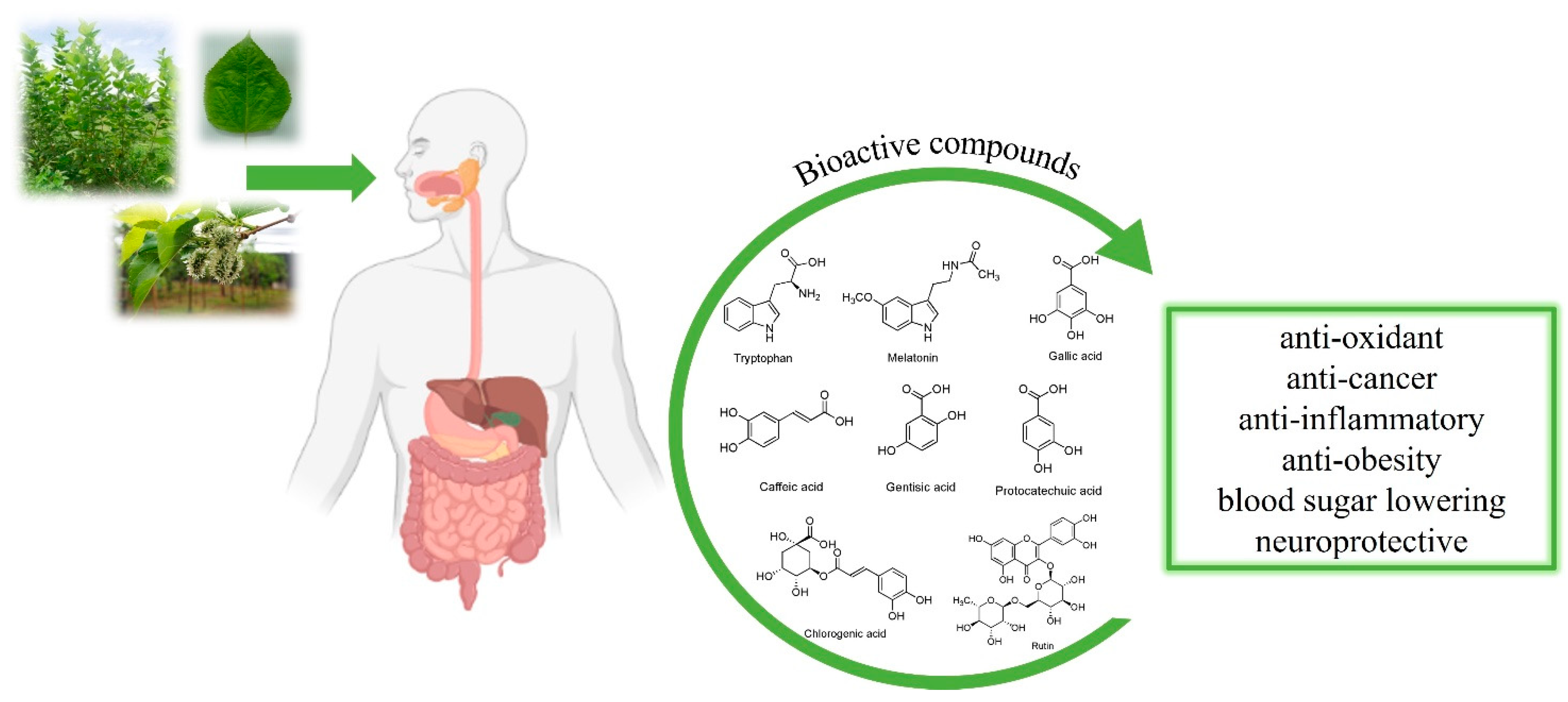 Molecules 27 04979 g001