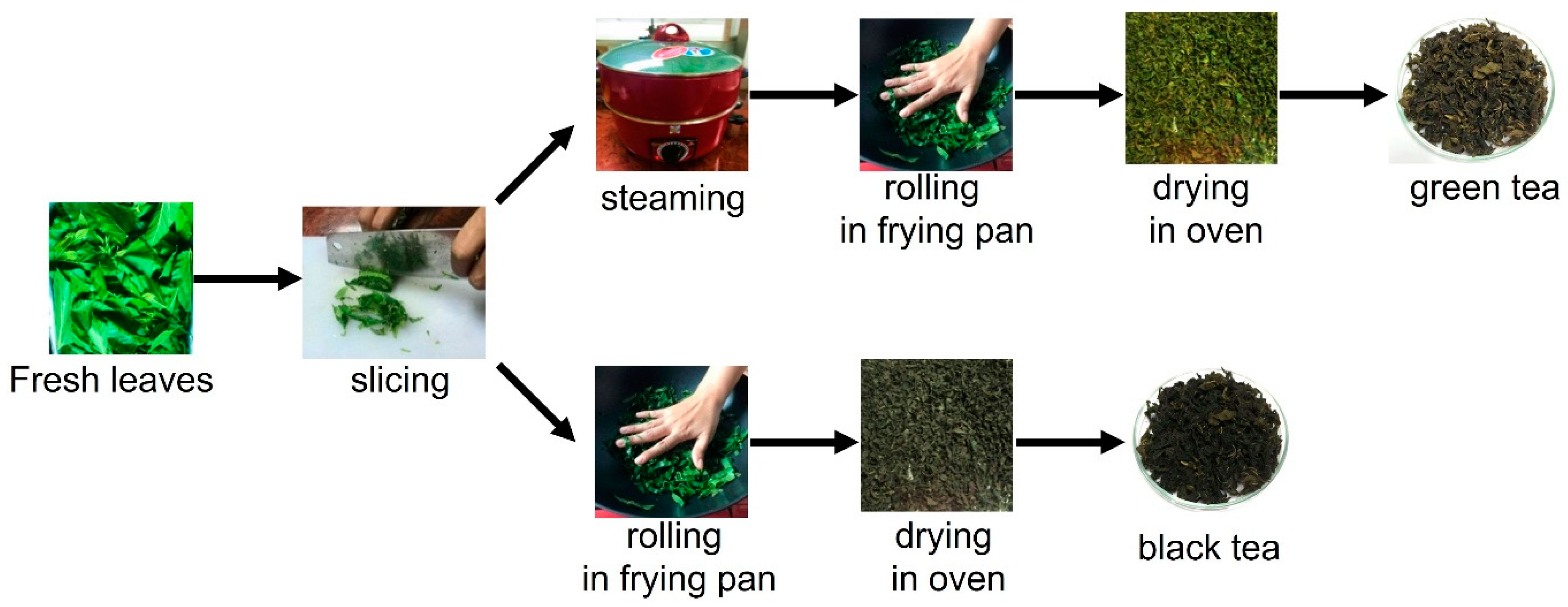 Molecules 27 04979 g002