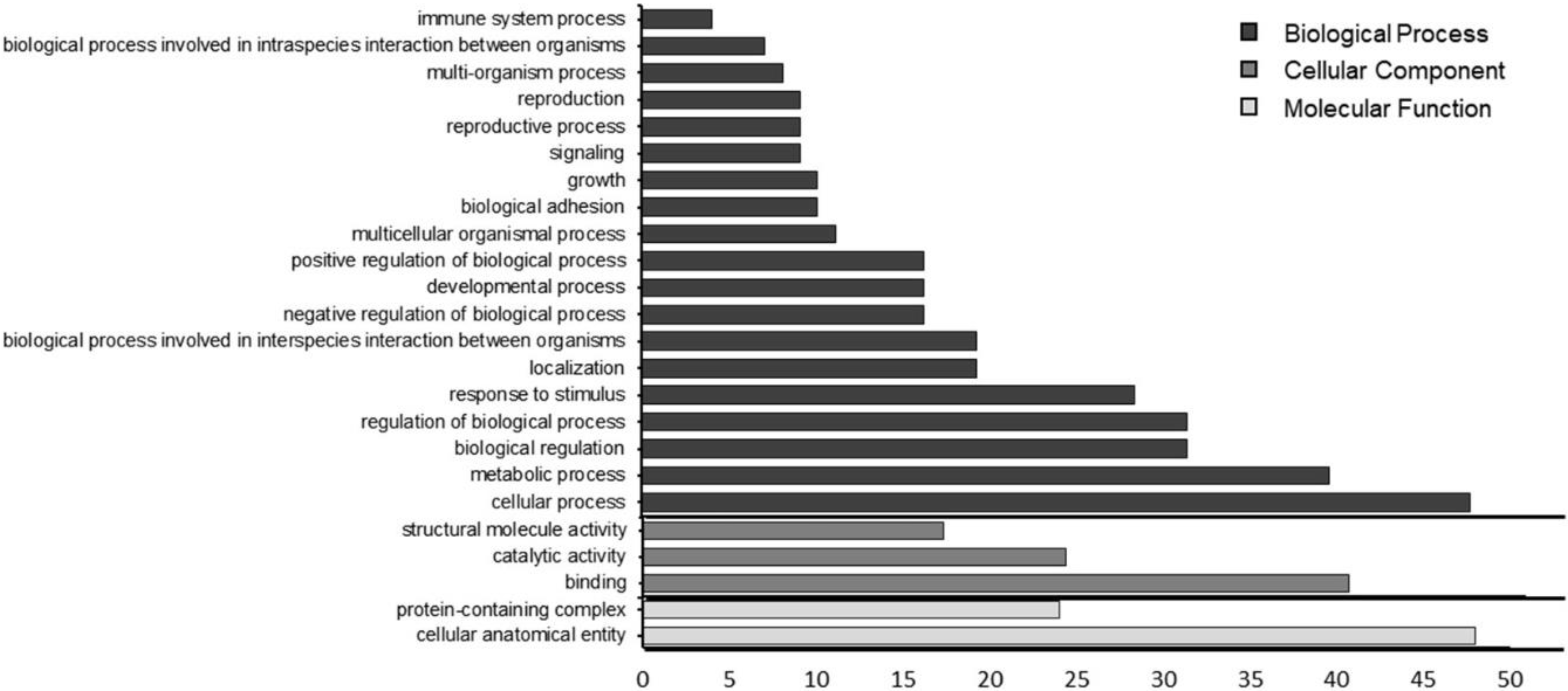 Molecules 27 04981 g004 Molecules 27 04981 g004