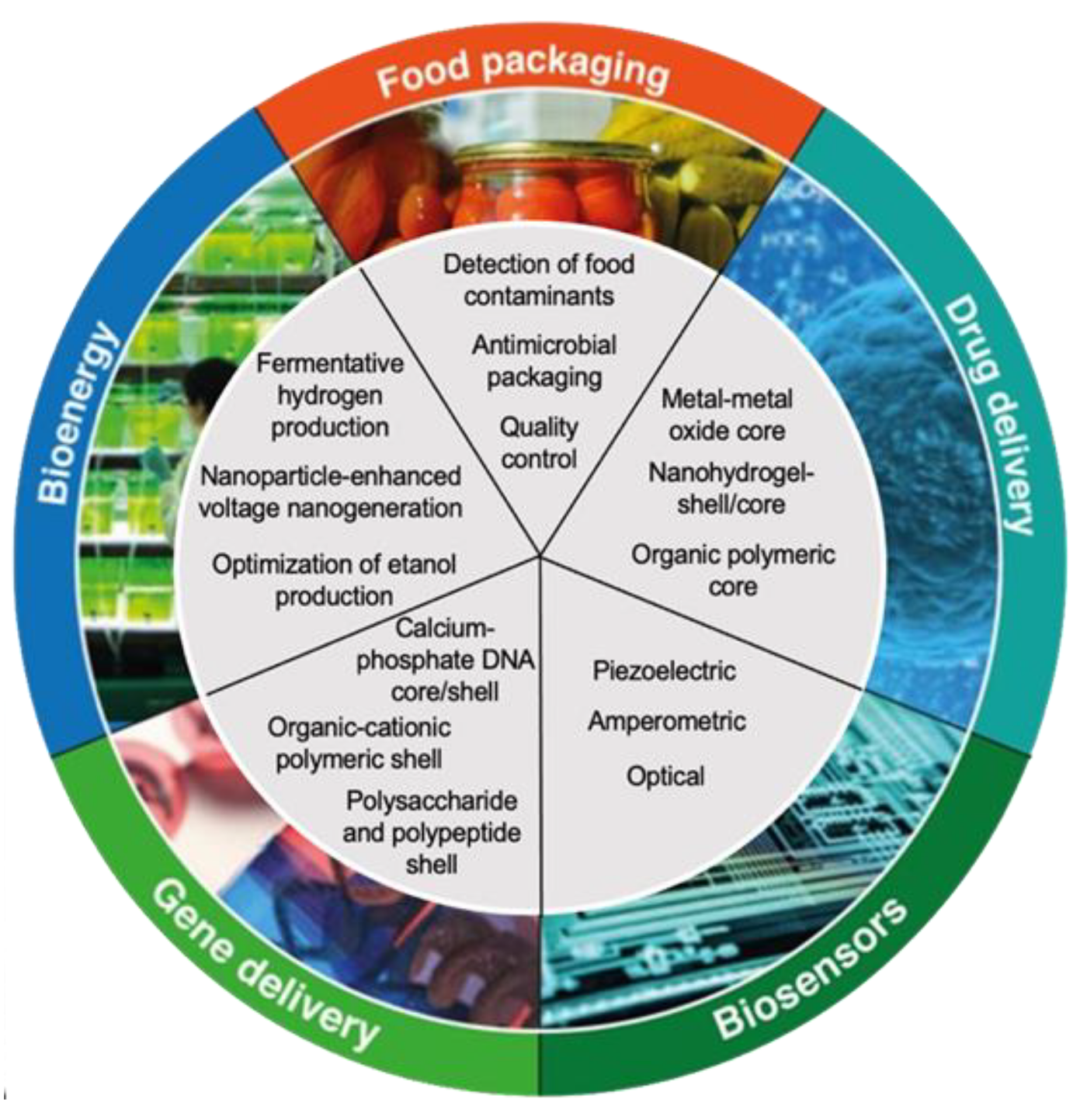 Molecules 27 04982 g002