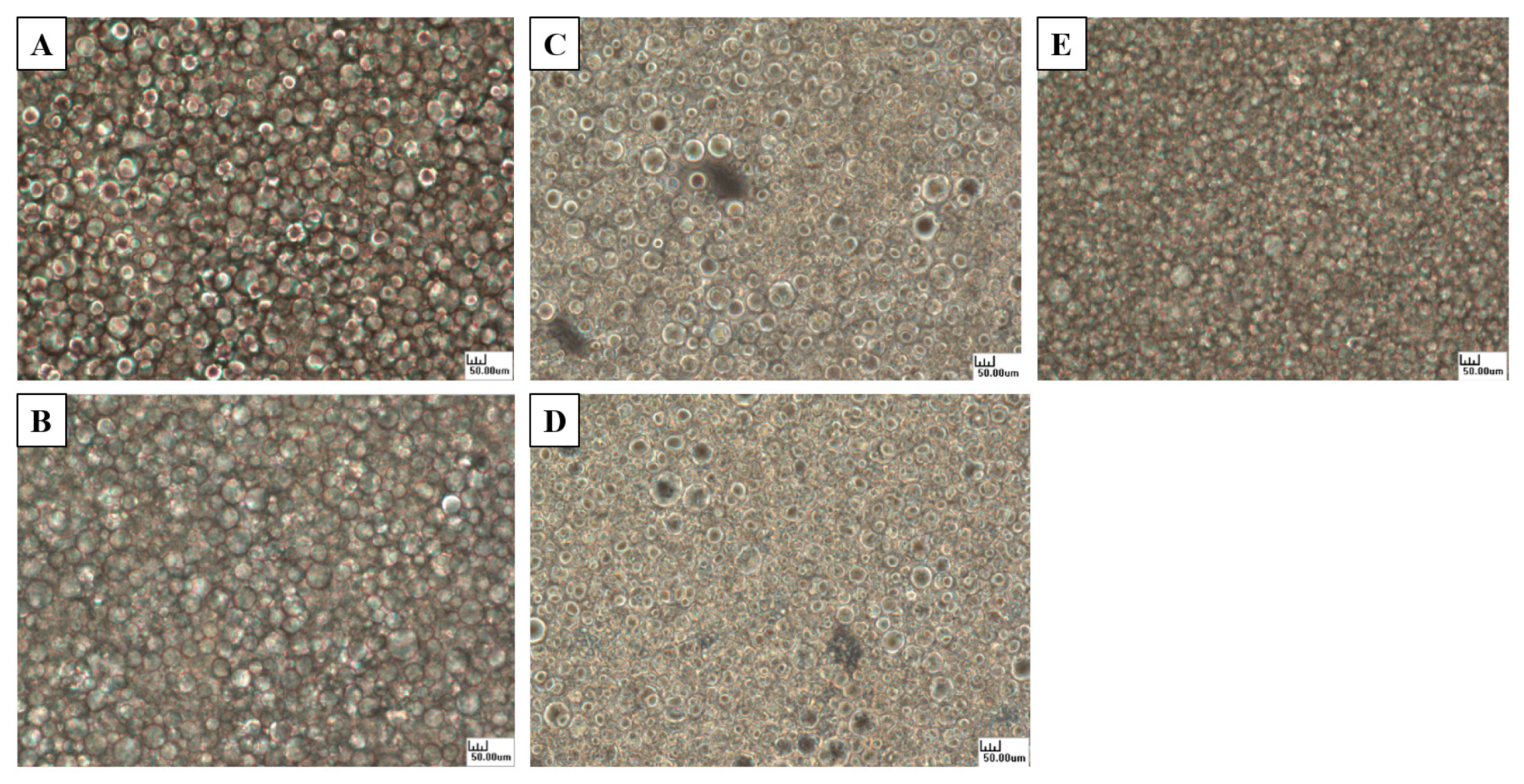 Molecules 27 04983 g004
