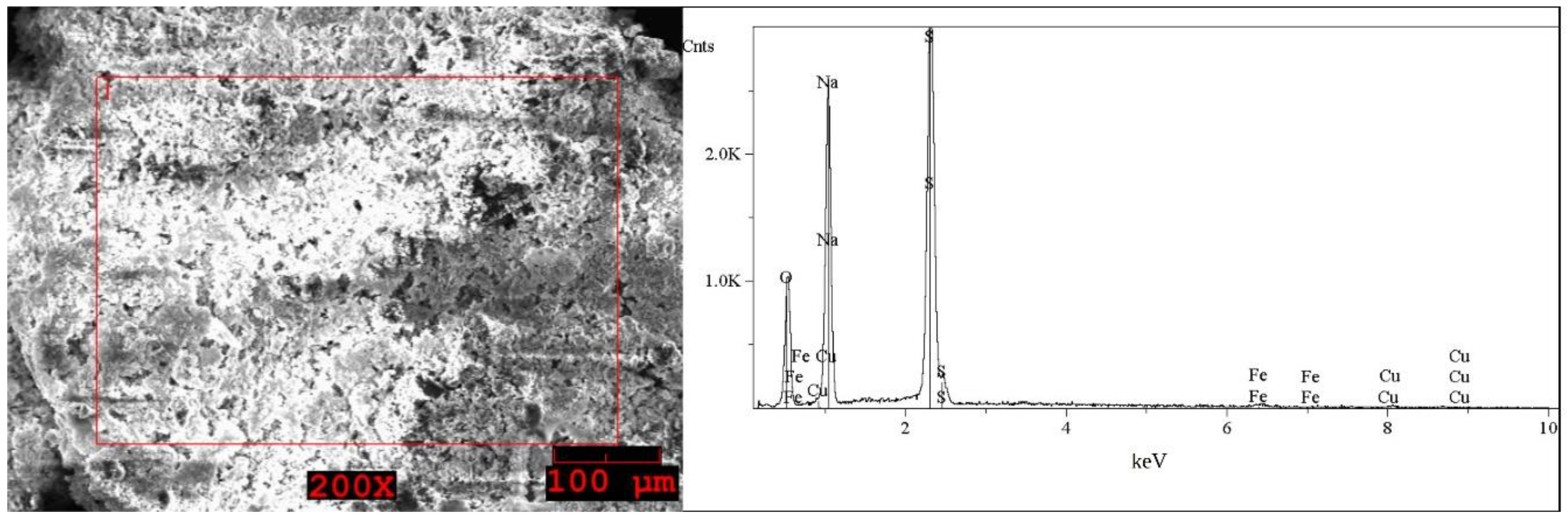 Molecules 27 04984 g008