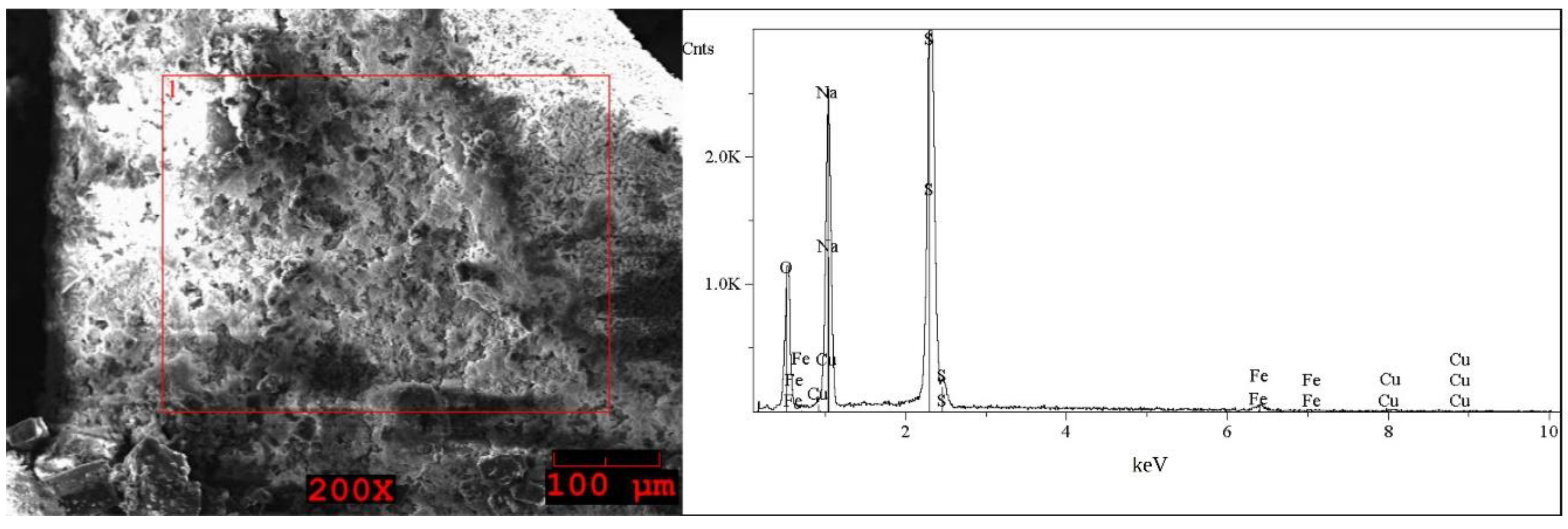 Molecules 27 04984 g009
