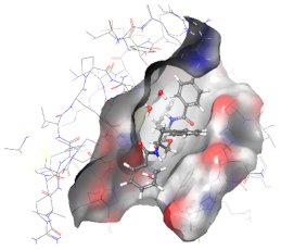 Molecules 27 04992 i006