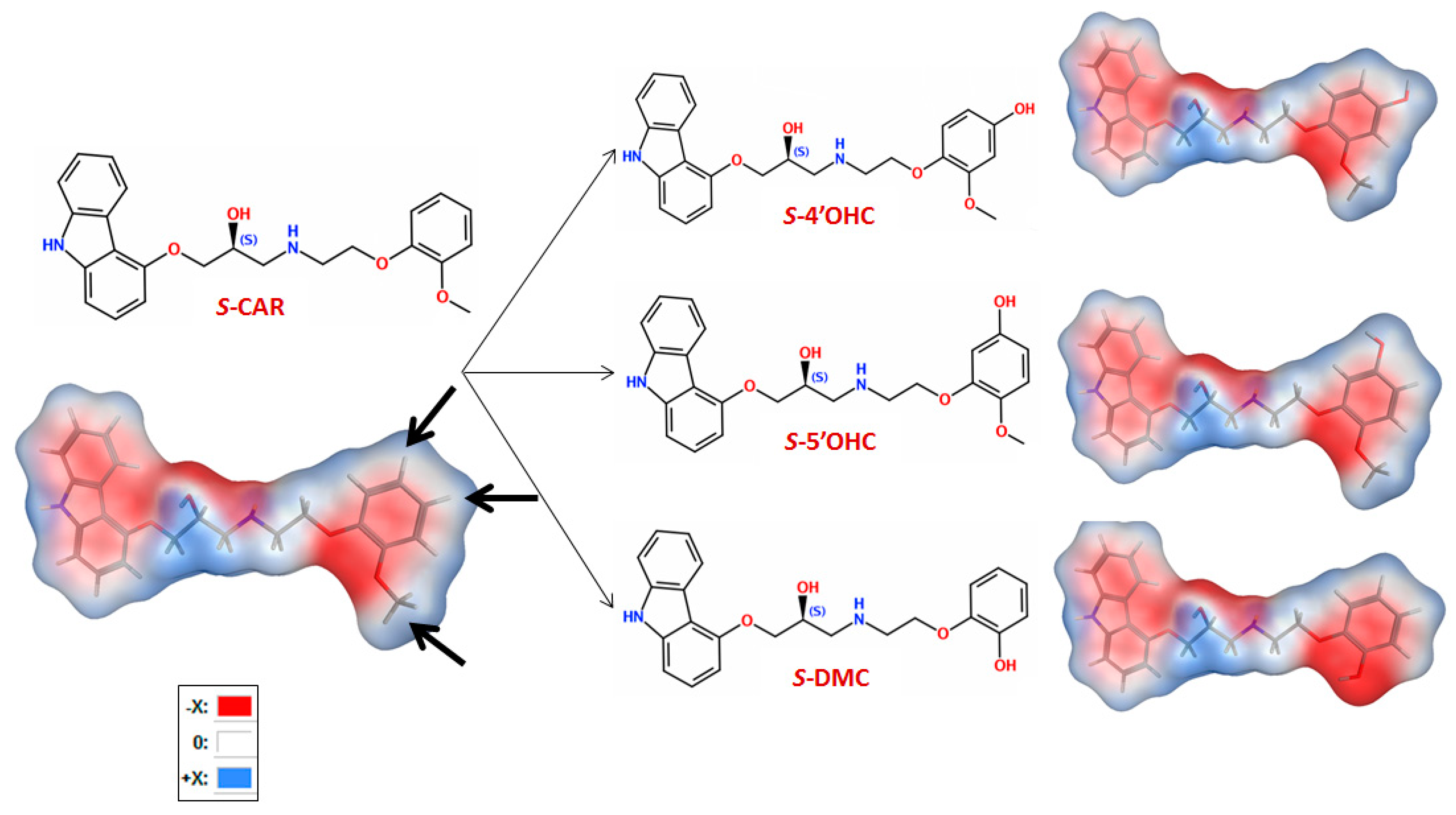 Molecules 27 04998 g001 Molecules 27 04998 g001