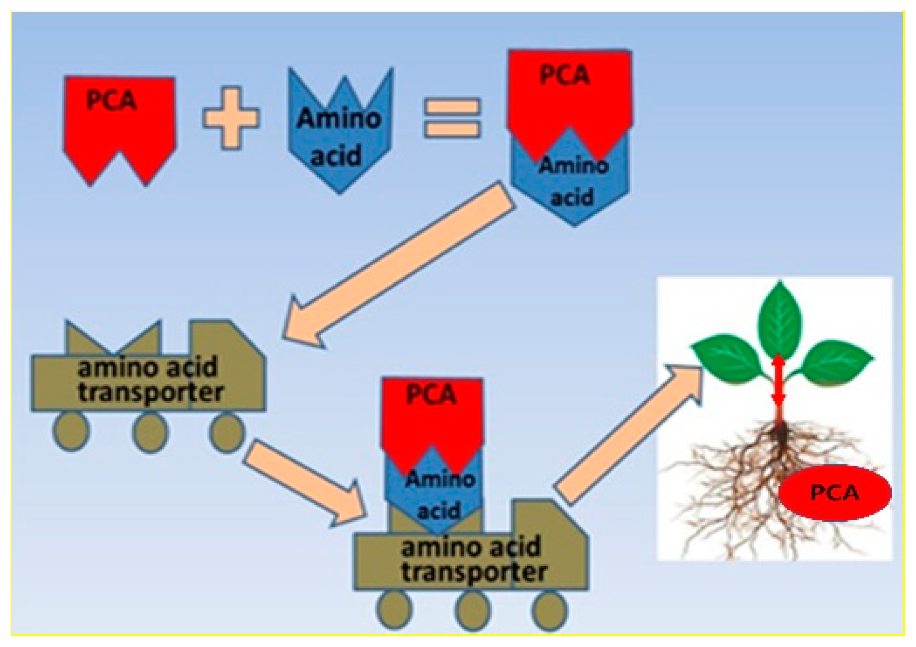 Molecules 27 04999 g004 Molecules 27 04999 g004