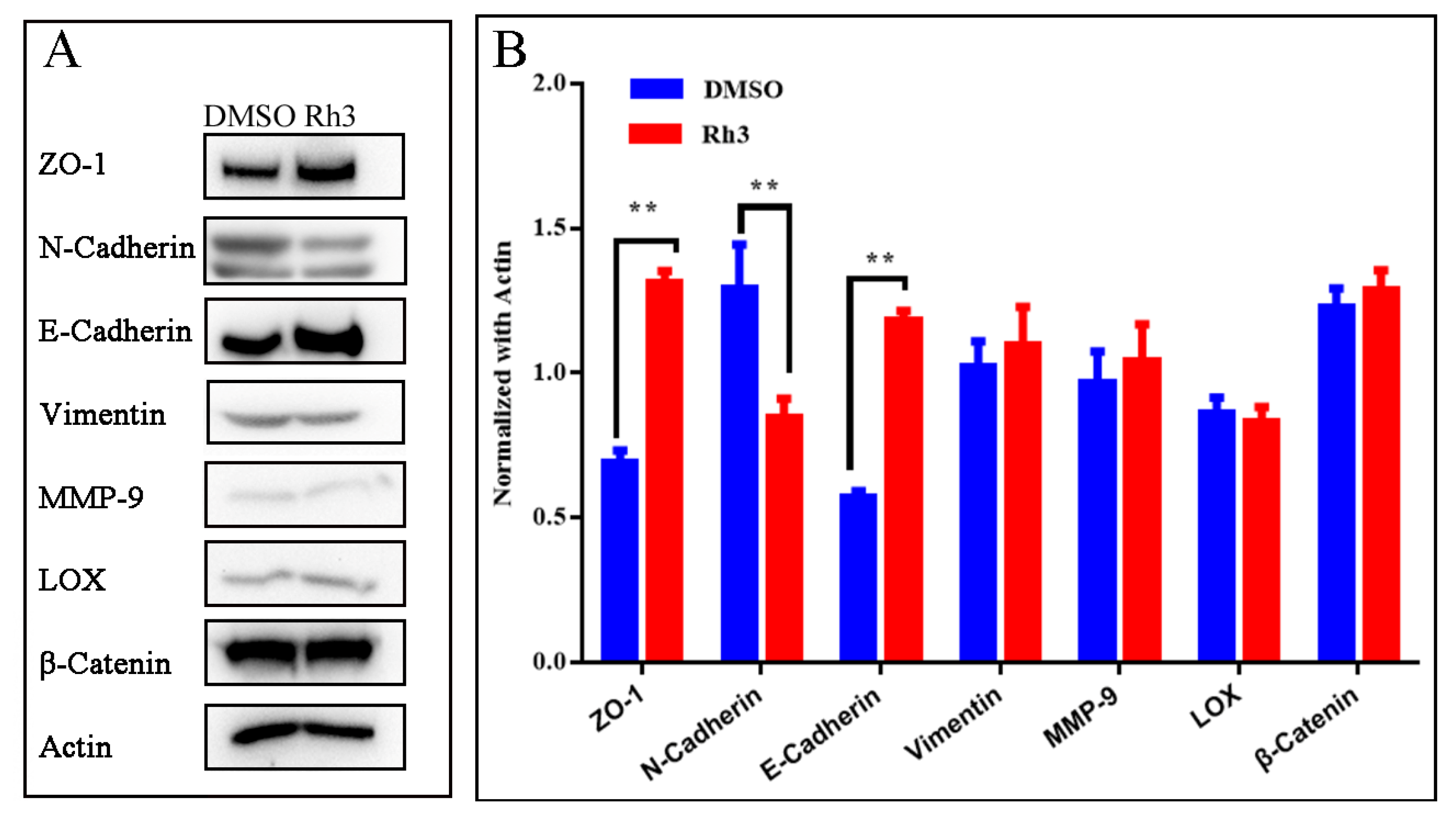 Molecules 27 05002 g004