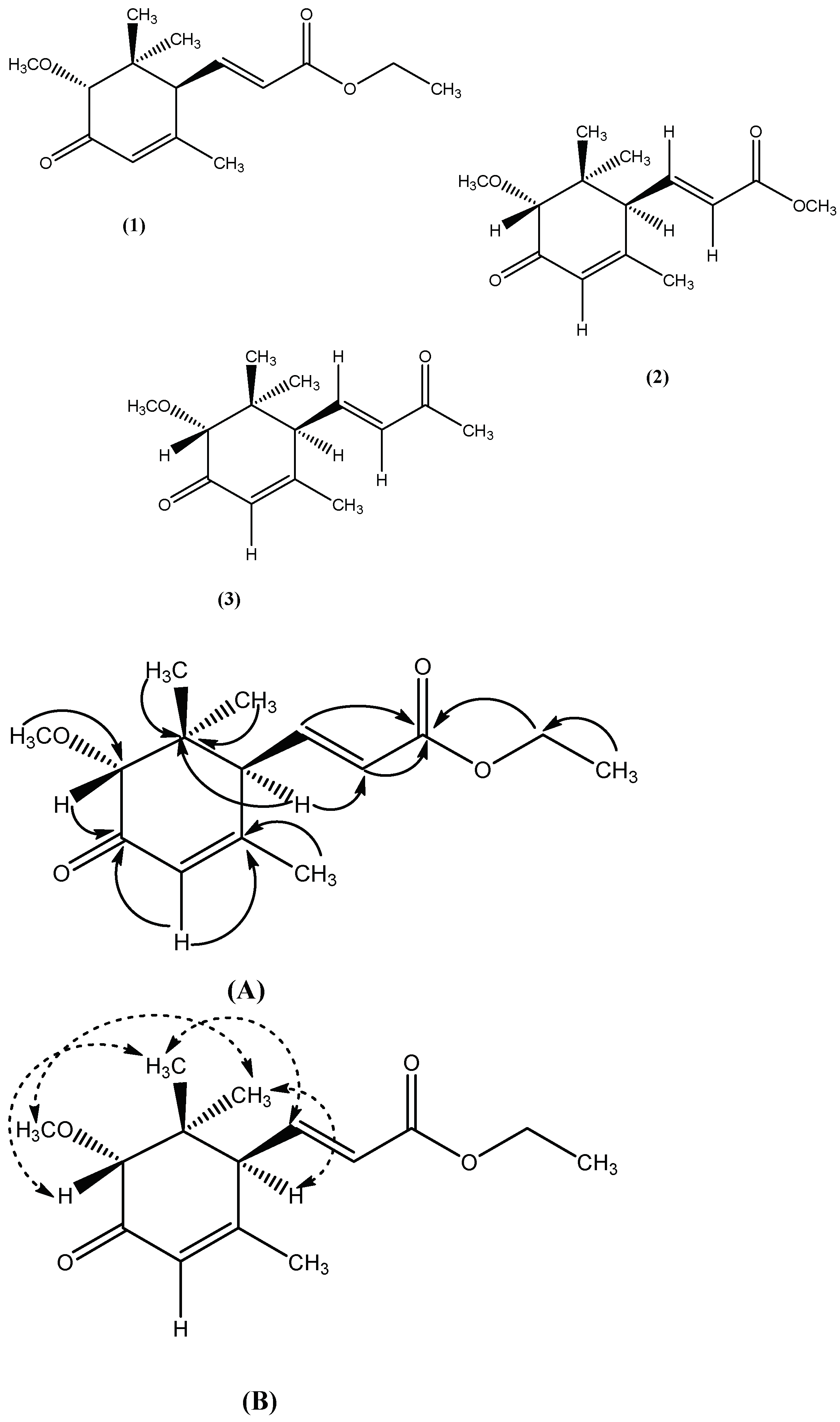 Molecules 27 05004 g001 Molecules 27 05004 g001
