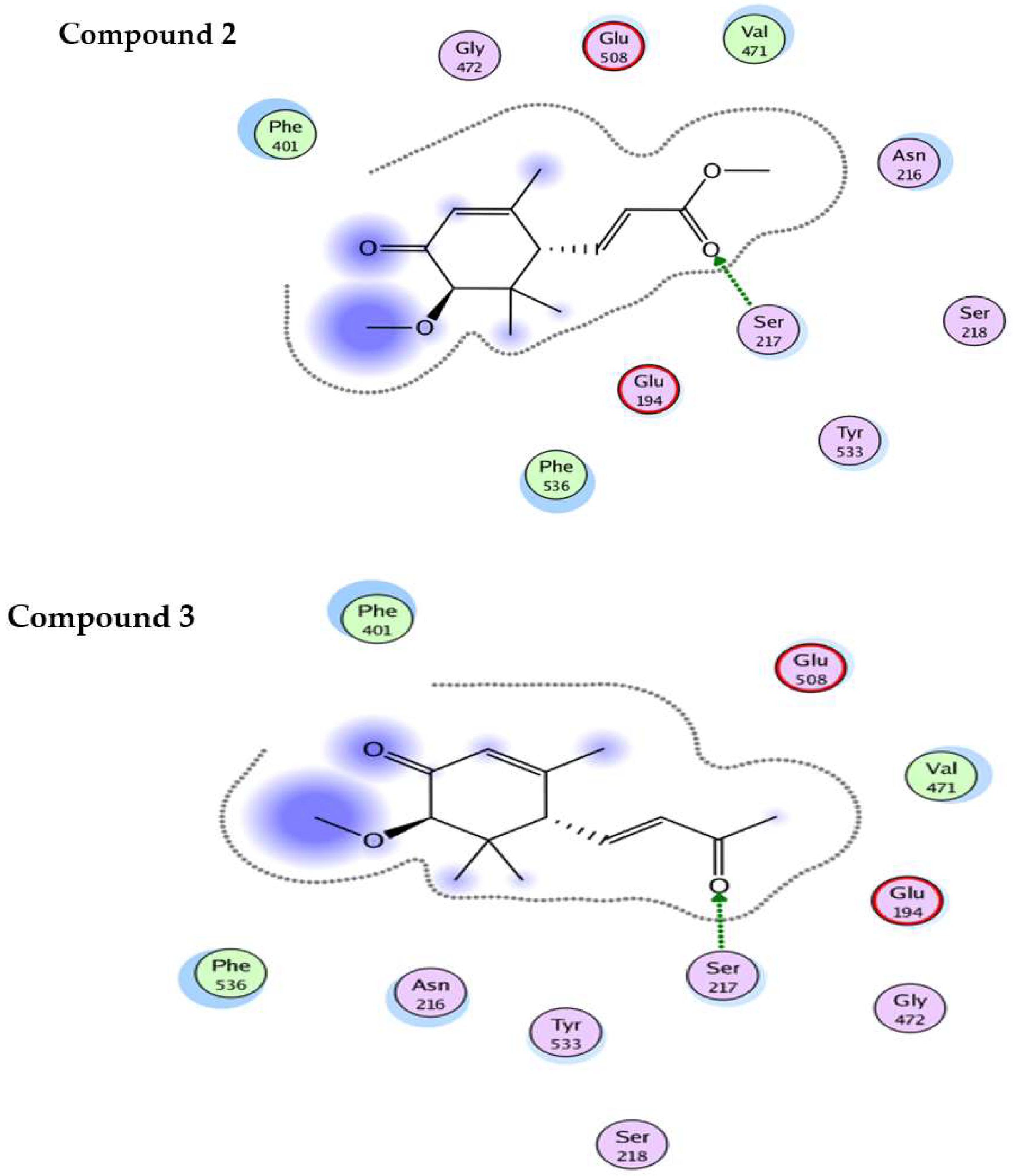 Molecules 27 05004 g003b Molecules 27 05004 g003b