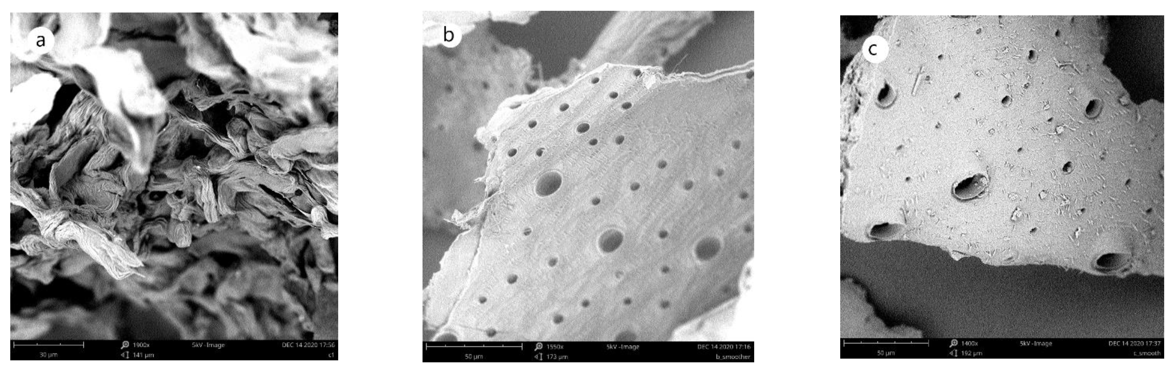 Molecules 27 05005 g006