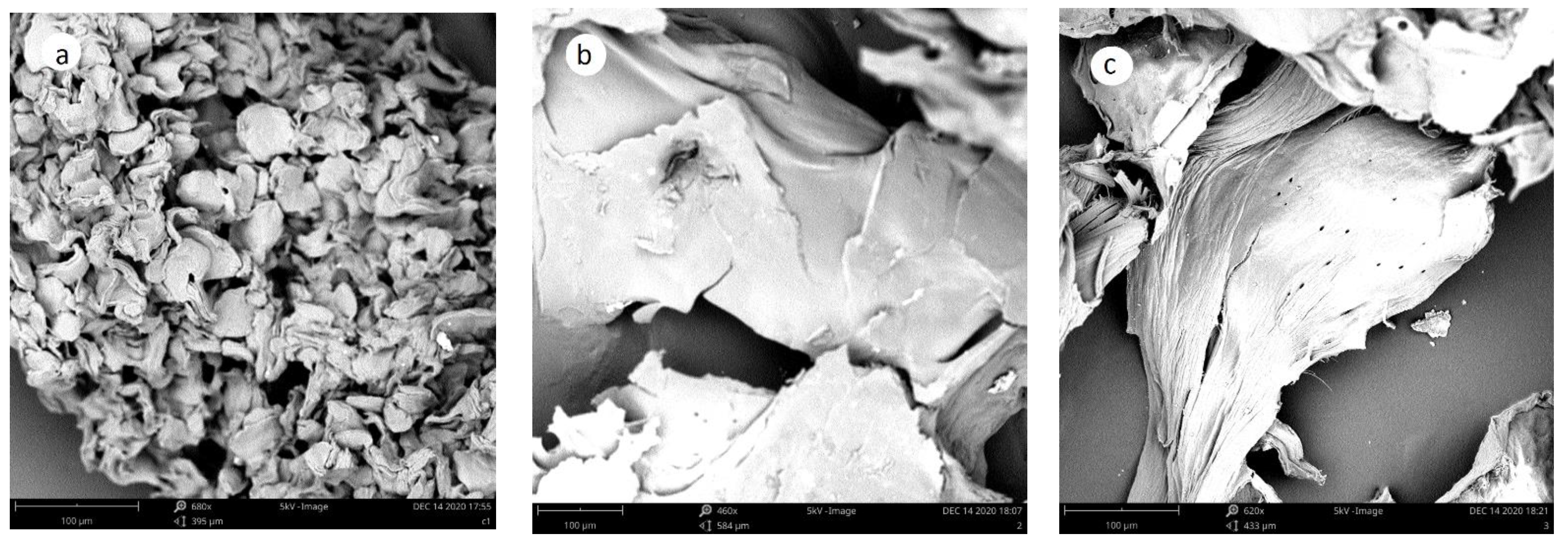 Molecules 27 05005 g007