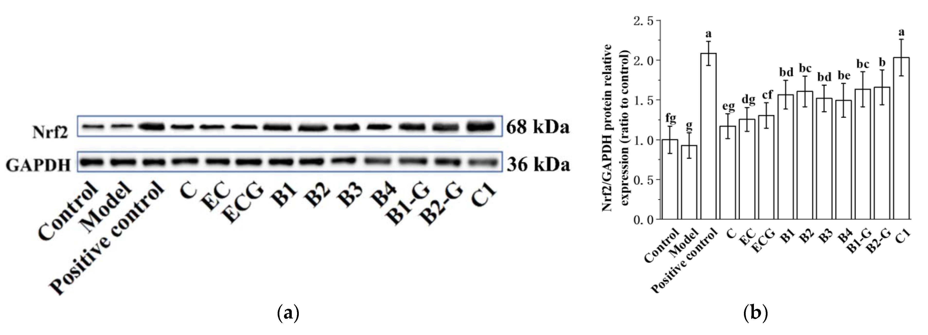 Molecules 27 05007 g005a 550