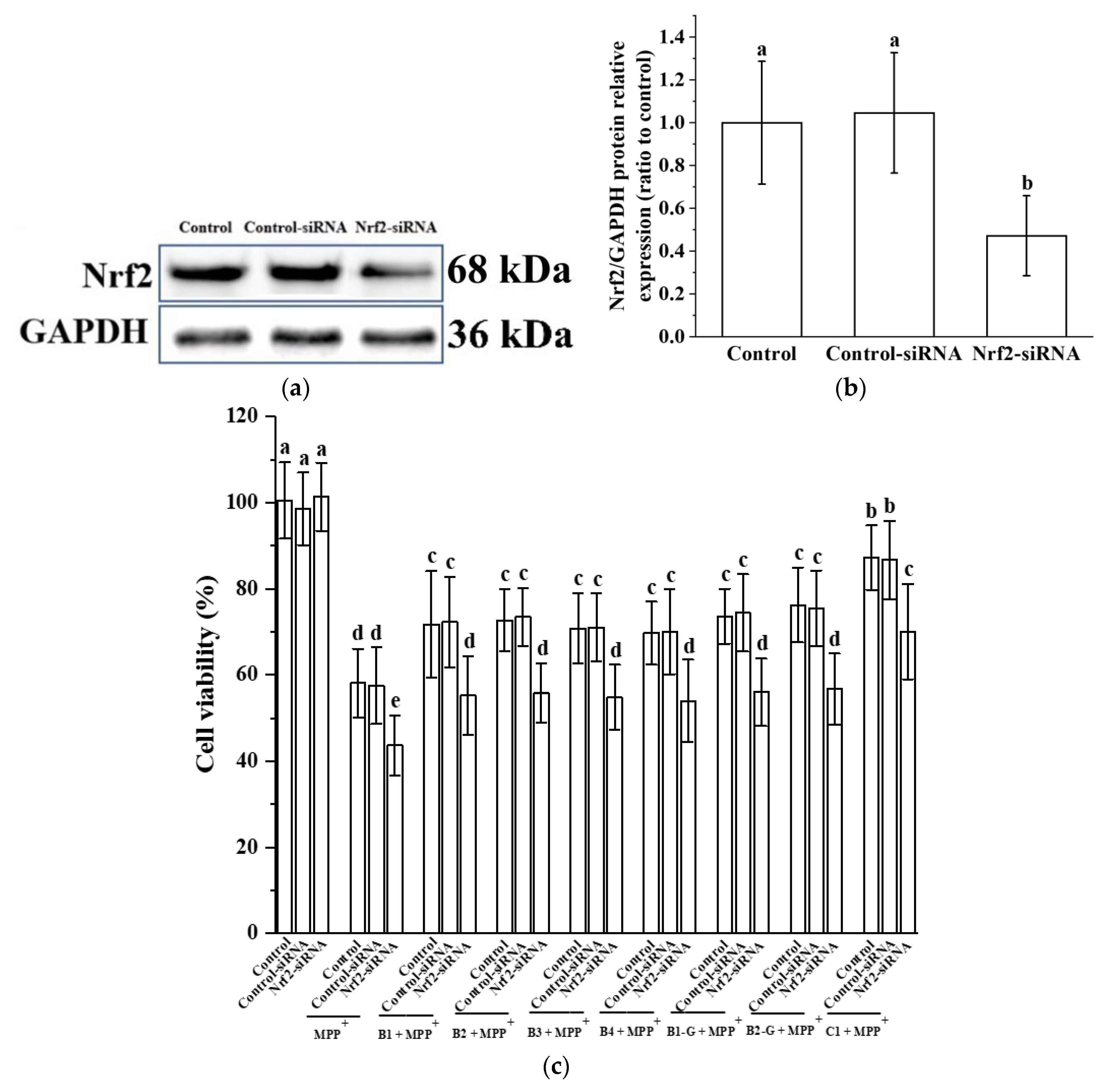 Molecules 27 05007 g006 550