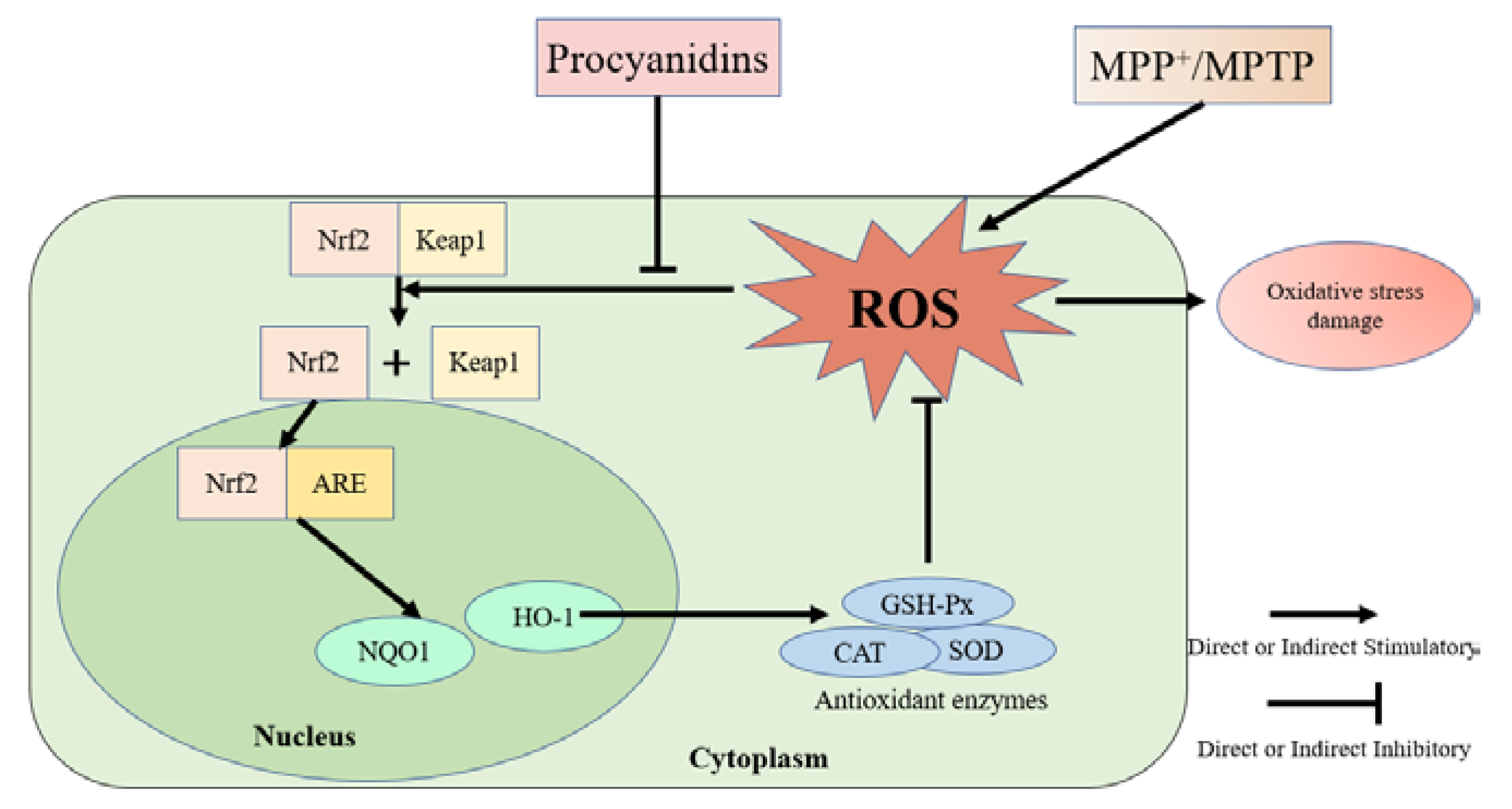 Molecules 27 05007 g011 550