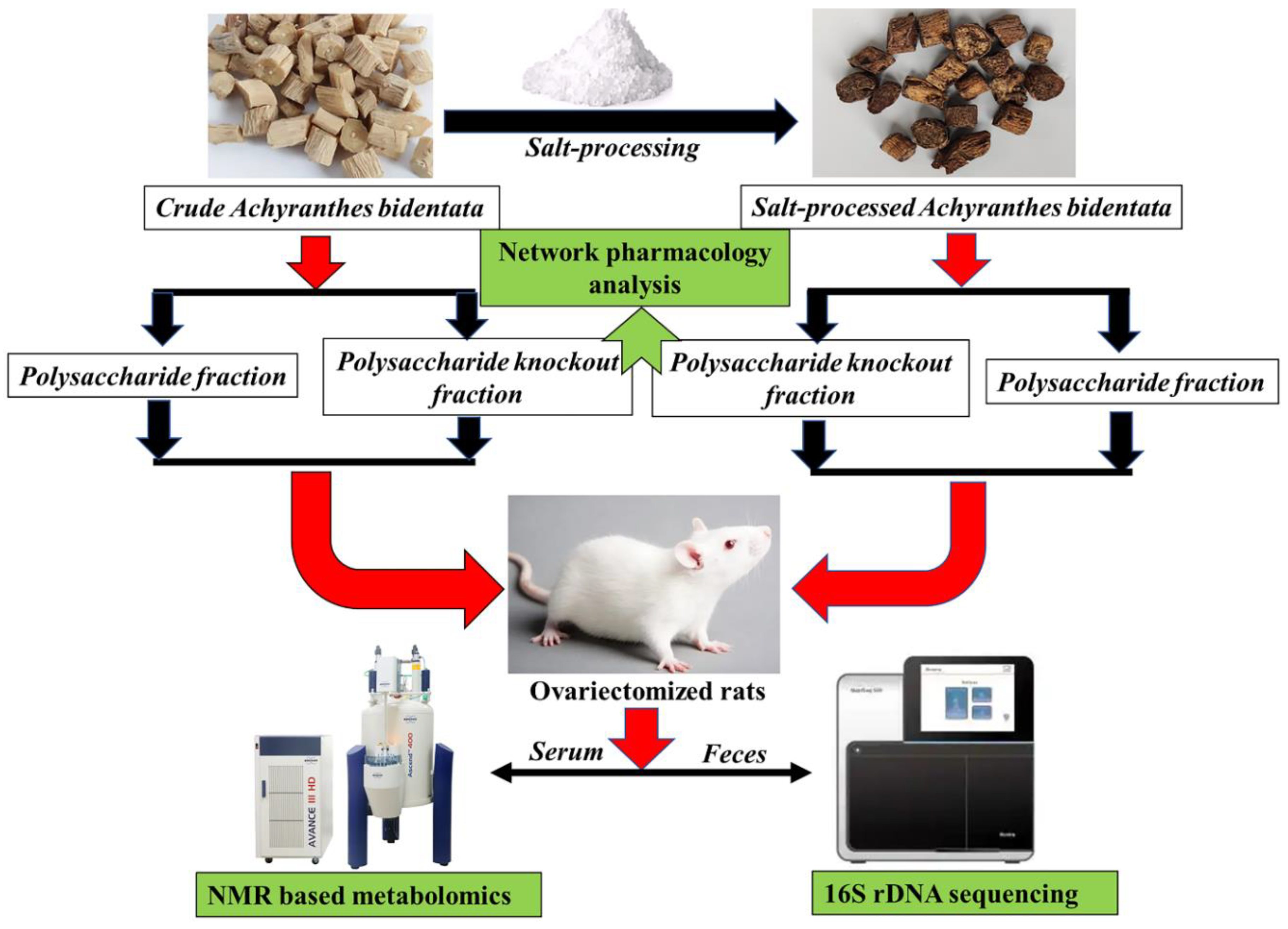 Molecules 27 05012 g001