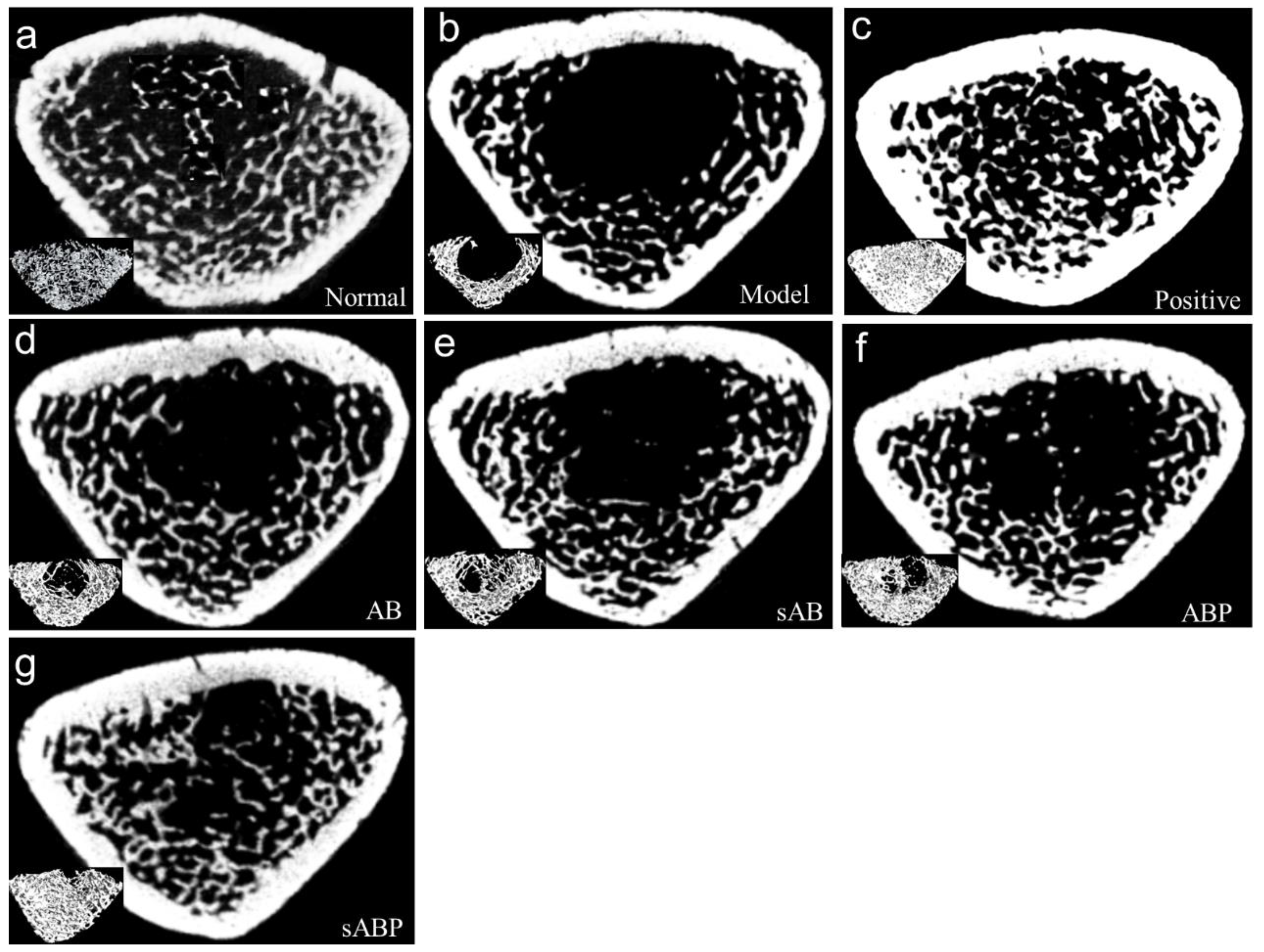 Molecules 27 05012 g003