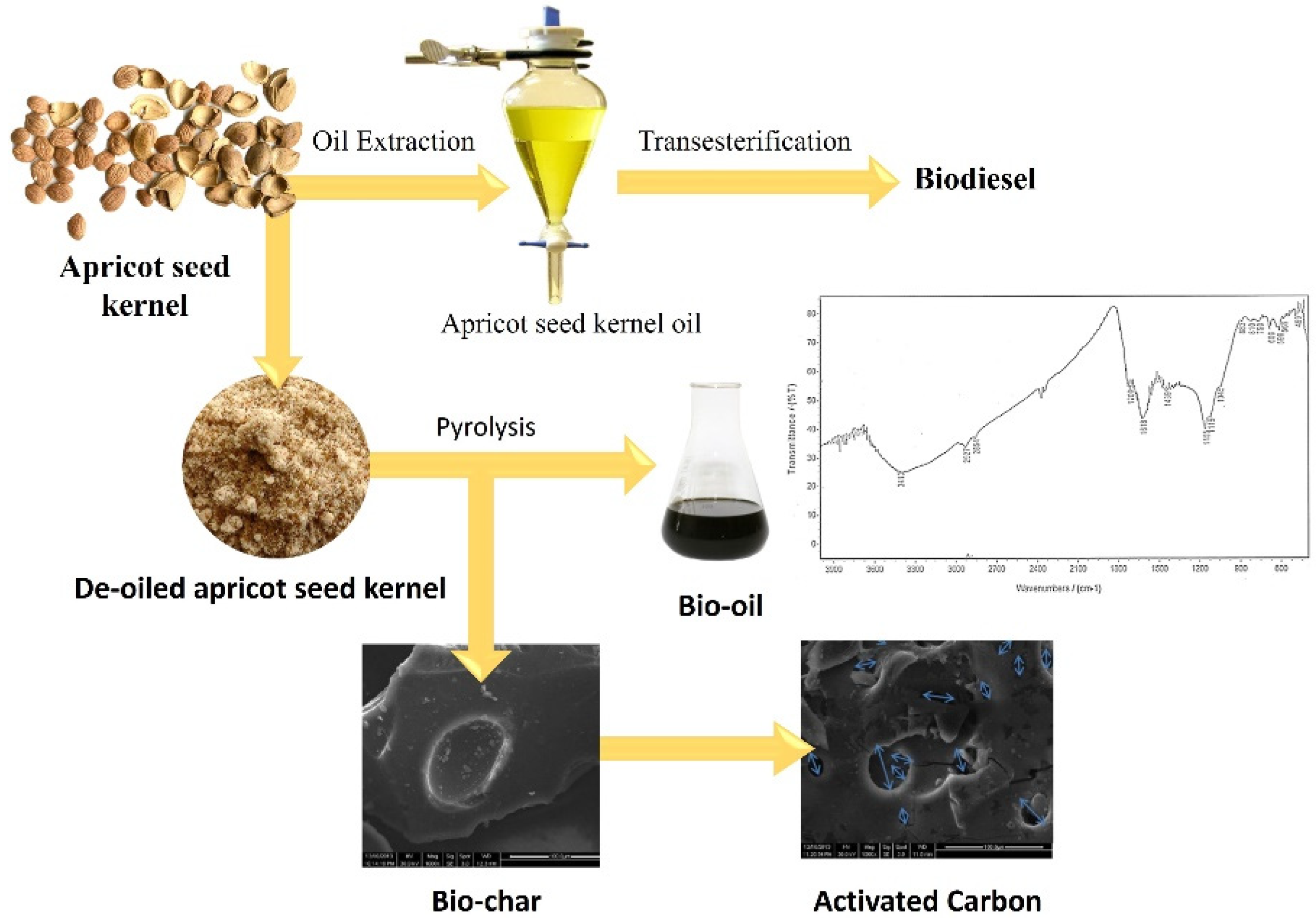 Molecules 27 05016 g008 550
