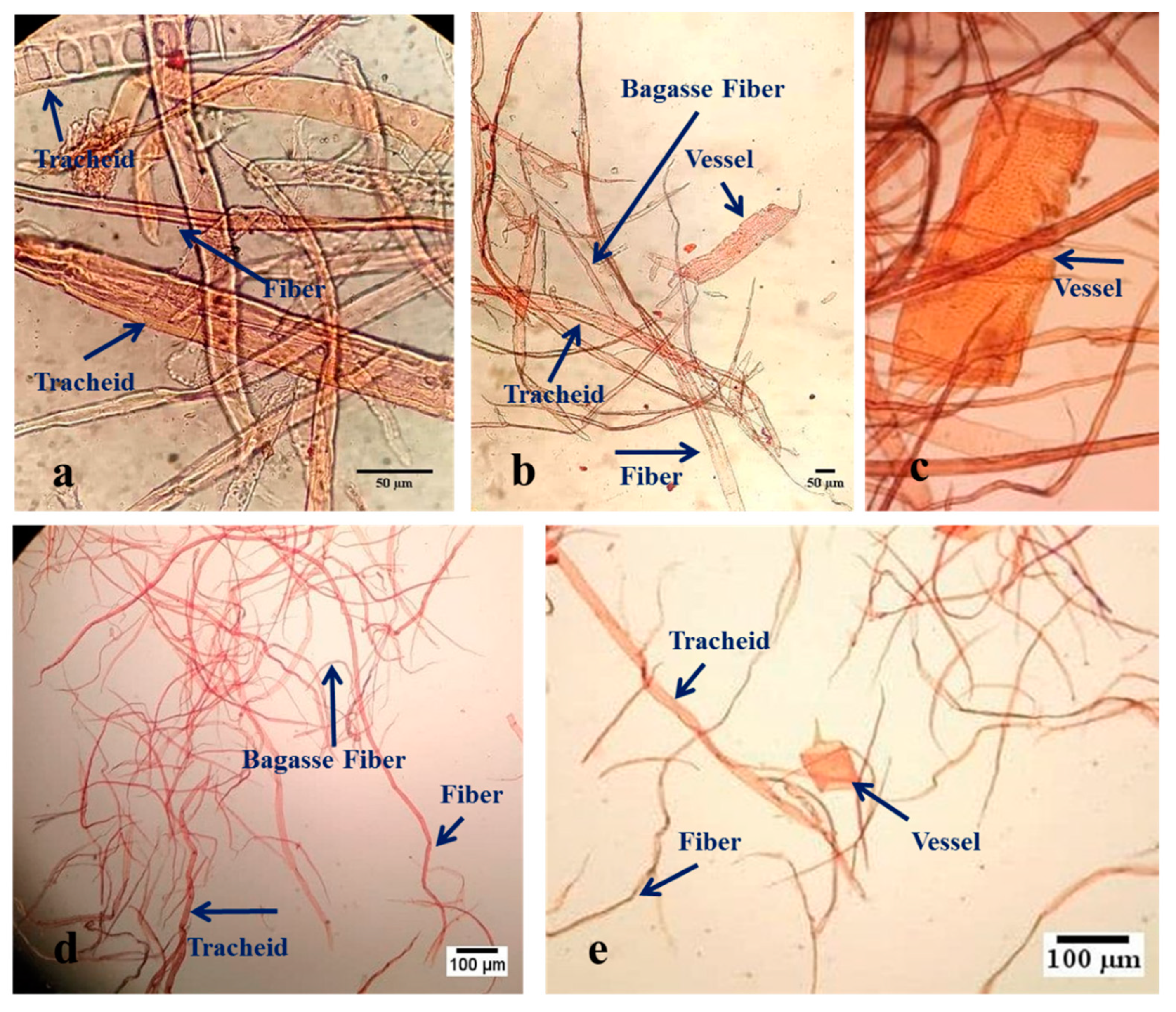 Molecules 27 05022 g001 550