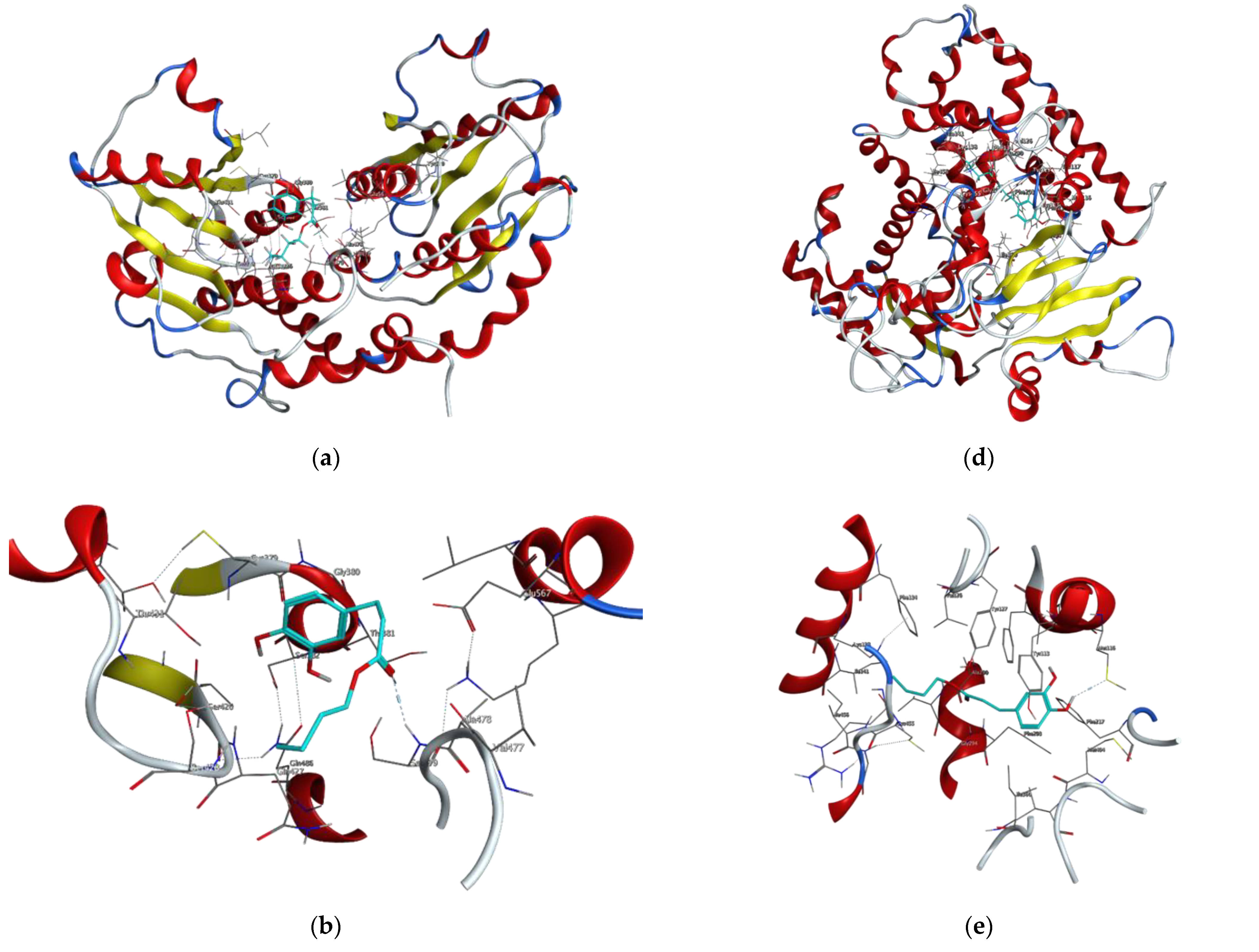 Molecules 27 05024 g005a