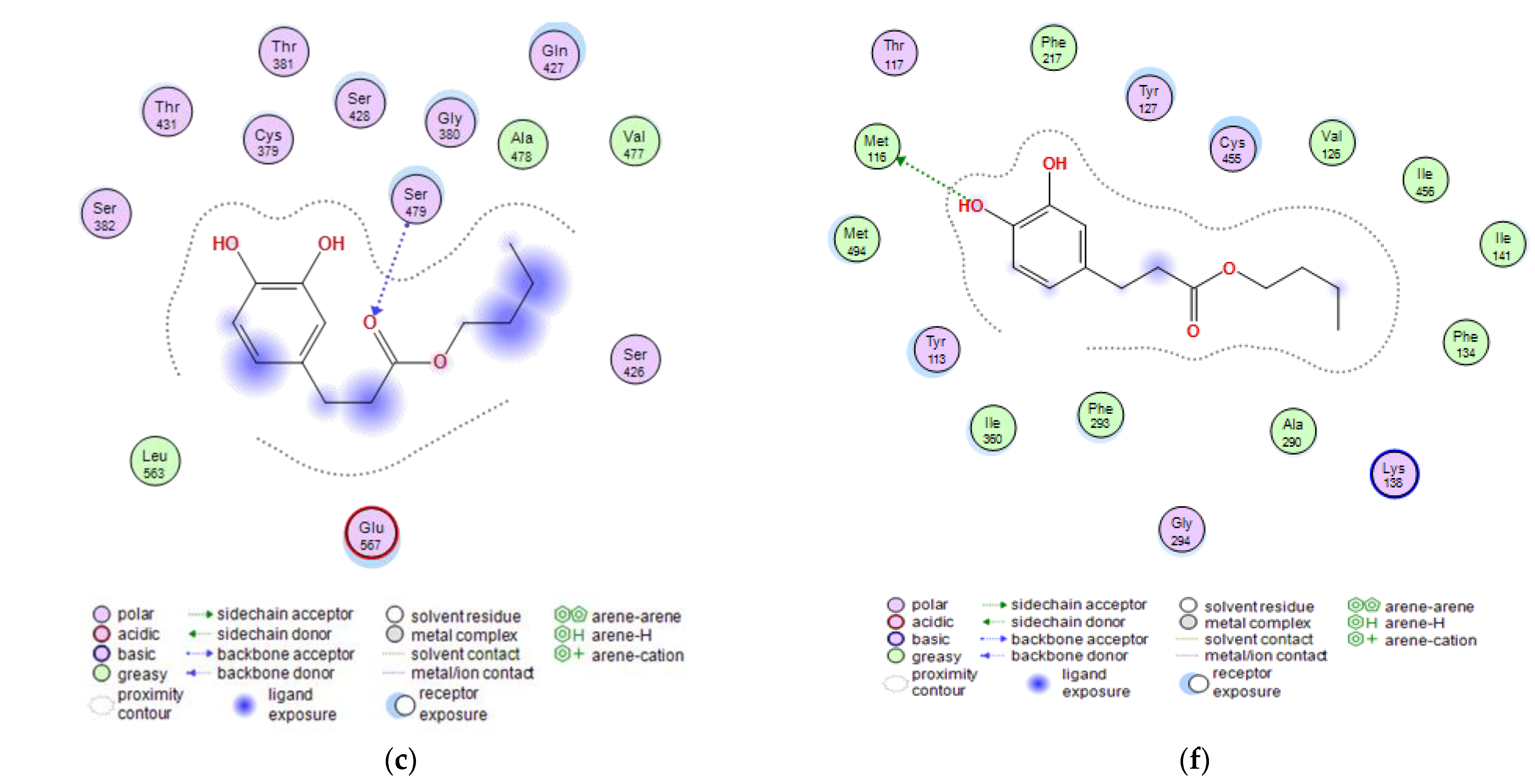 Molecules 27 05024 g005b