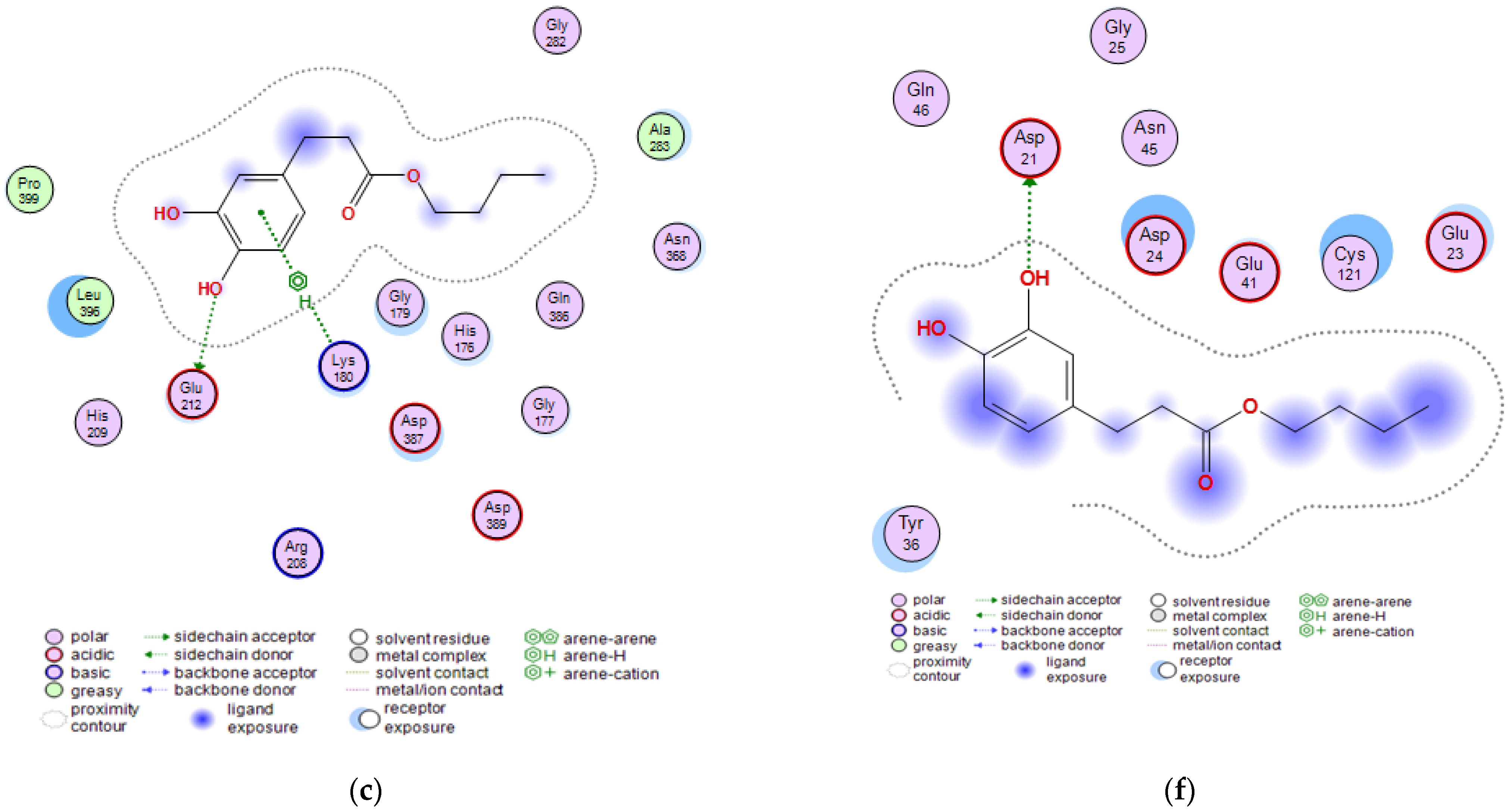 Molecules 27 05024 g006b