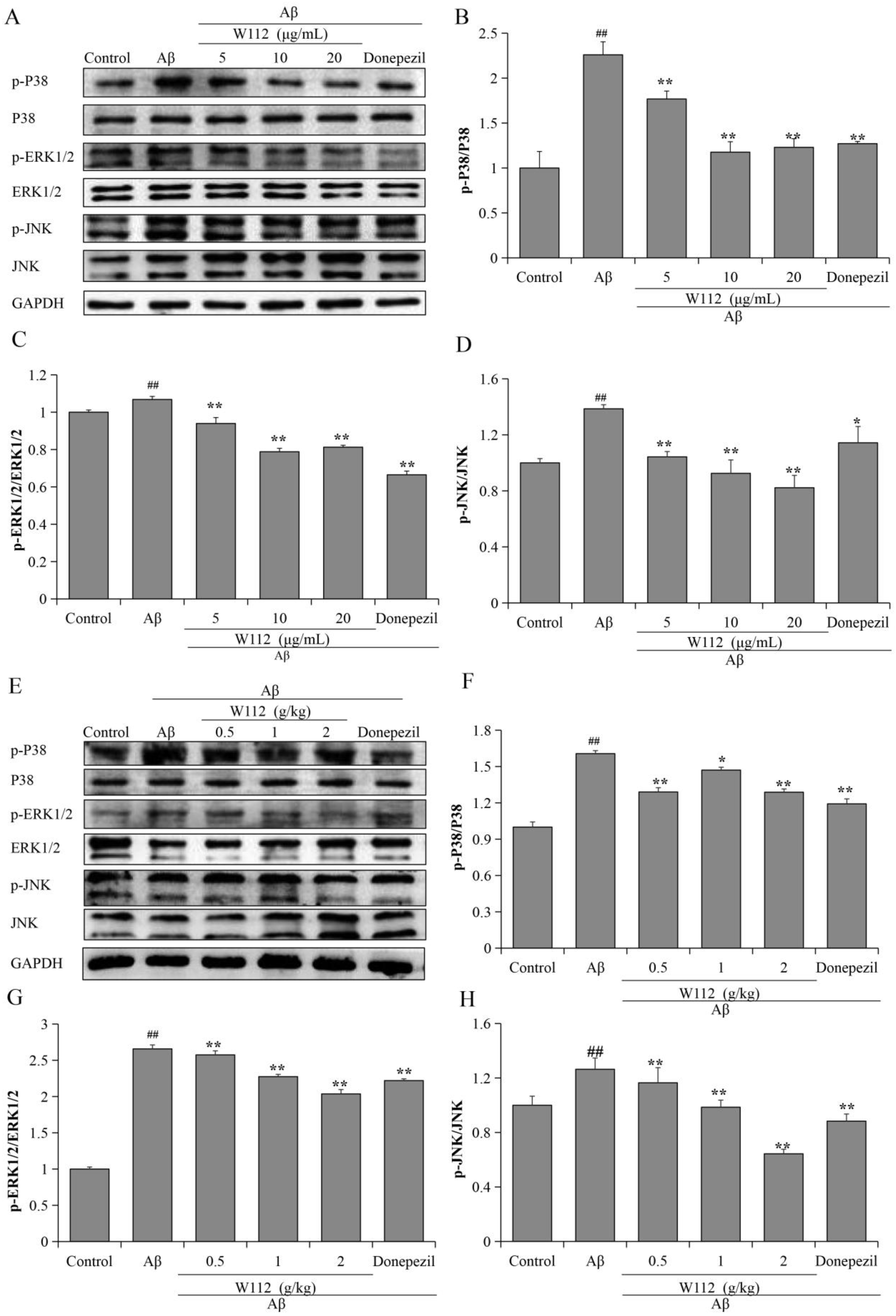 Molecules 27 05035 g007 550