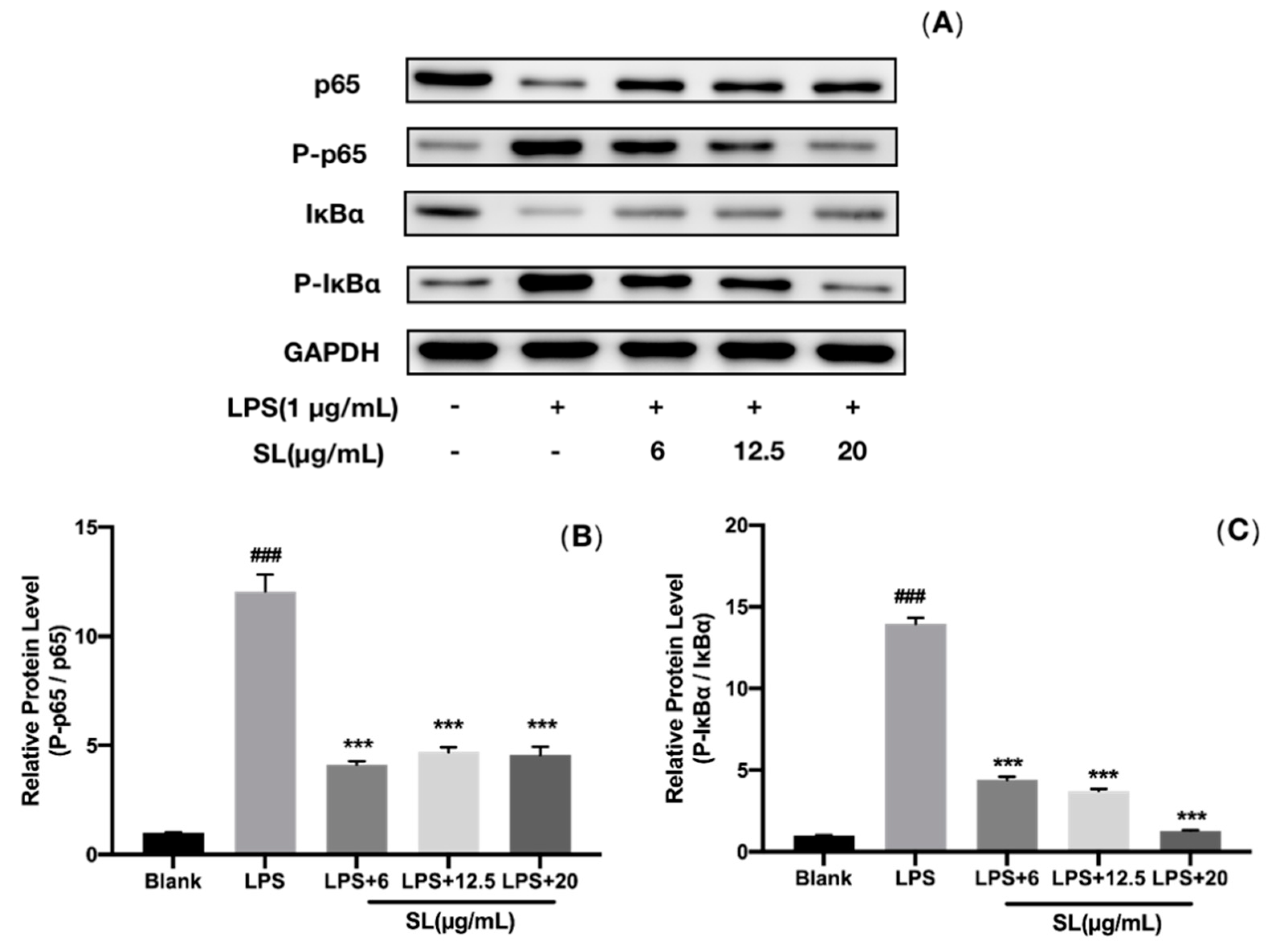 Molecules 27 05037 g007 550