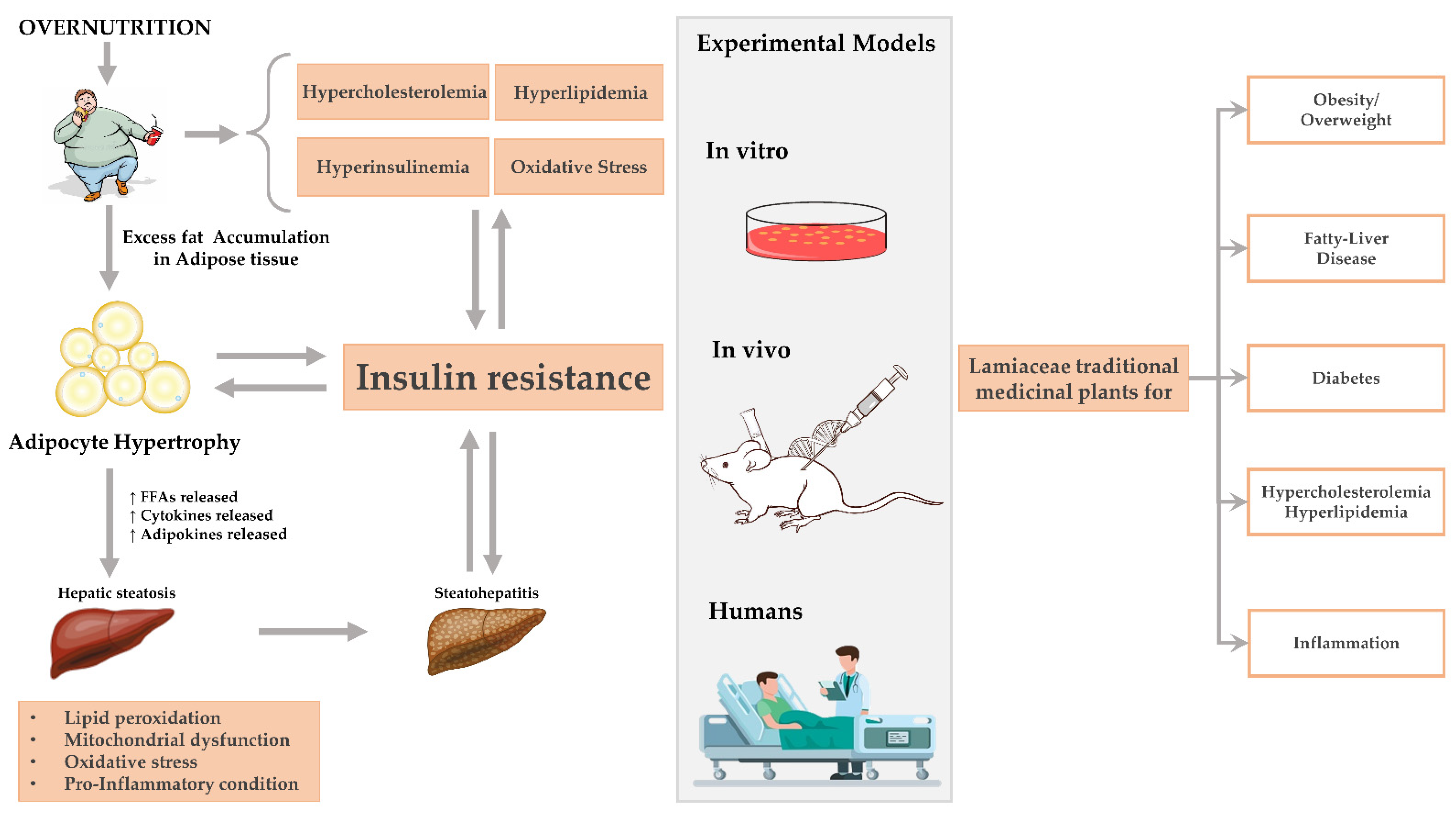 Molecules 27 05043 g004