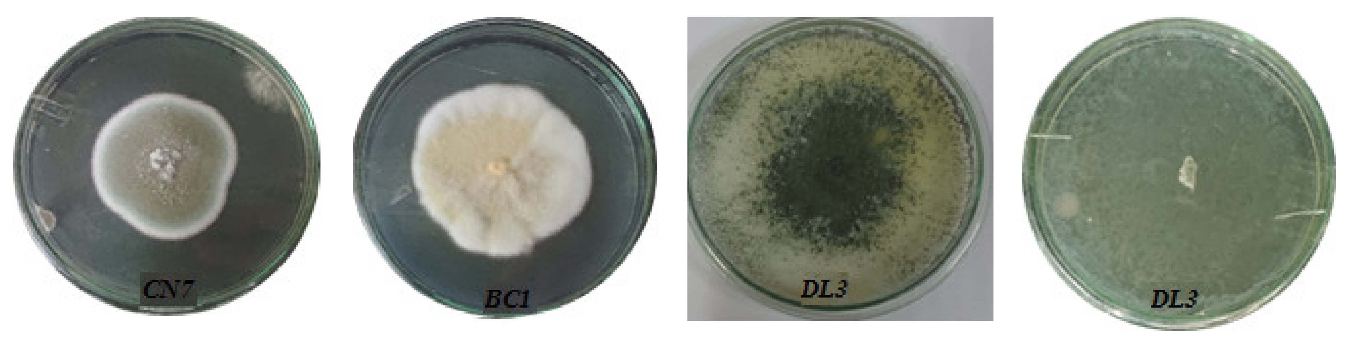 Molecules 27 05051 g003 Molecules 27 05051 g003