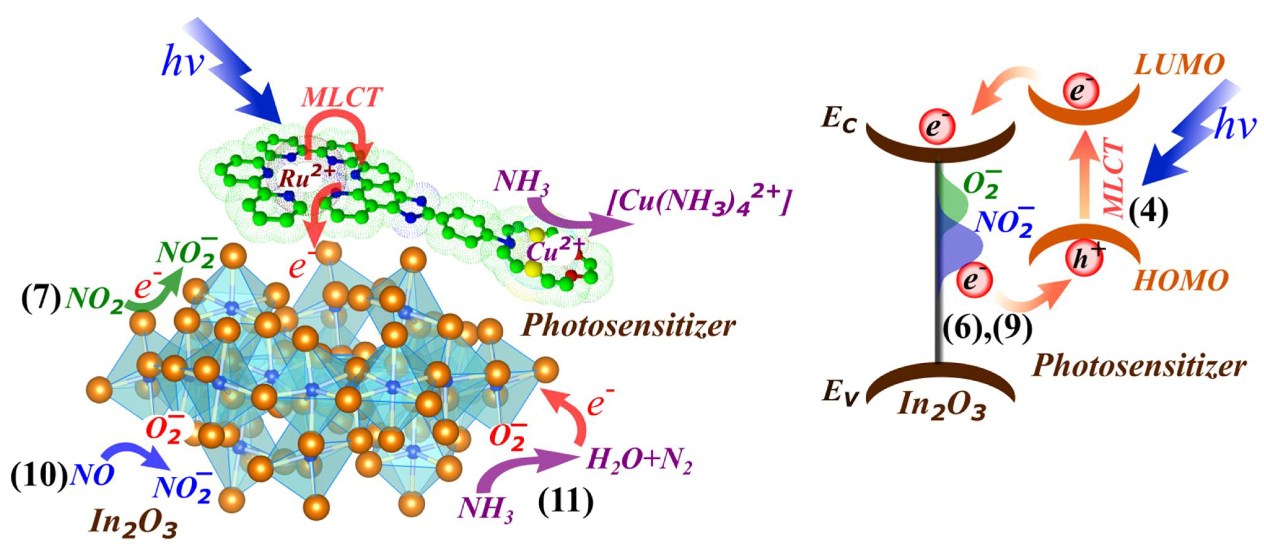 Molecules 27 05058 g005 Molecules 27 05058 g005