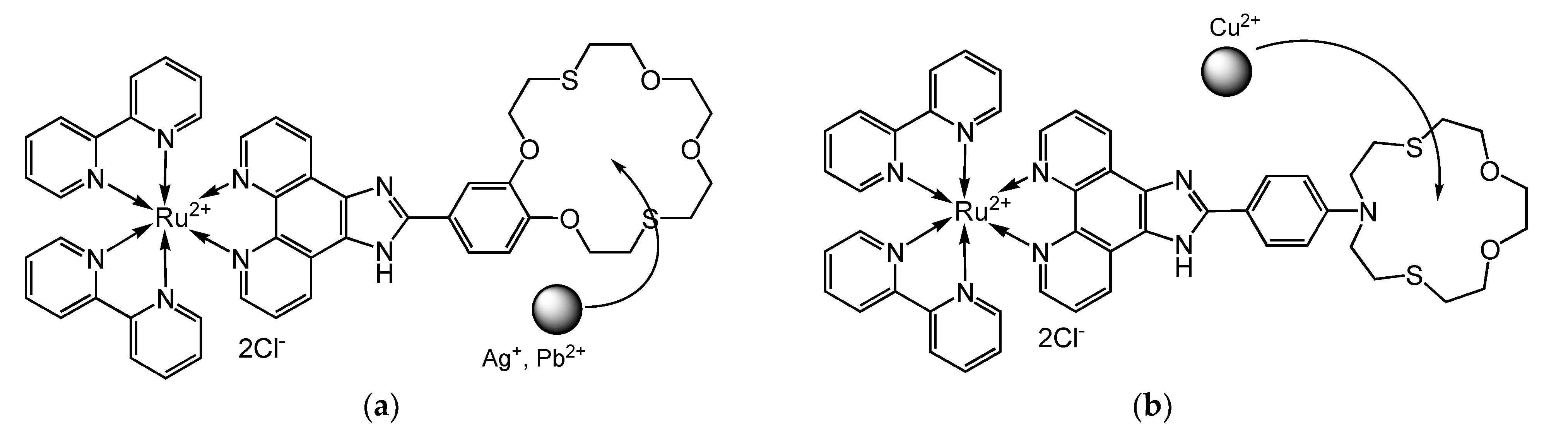 Molecules 27 05058 g011 Molecules 27 05058 g011