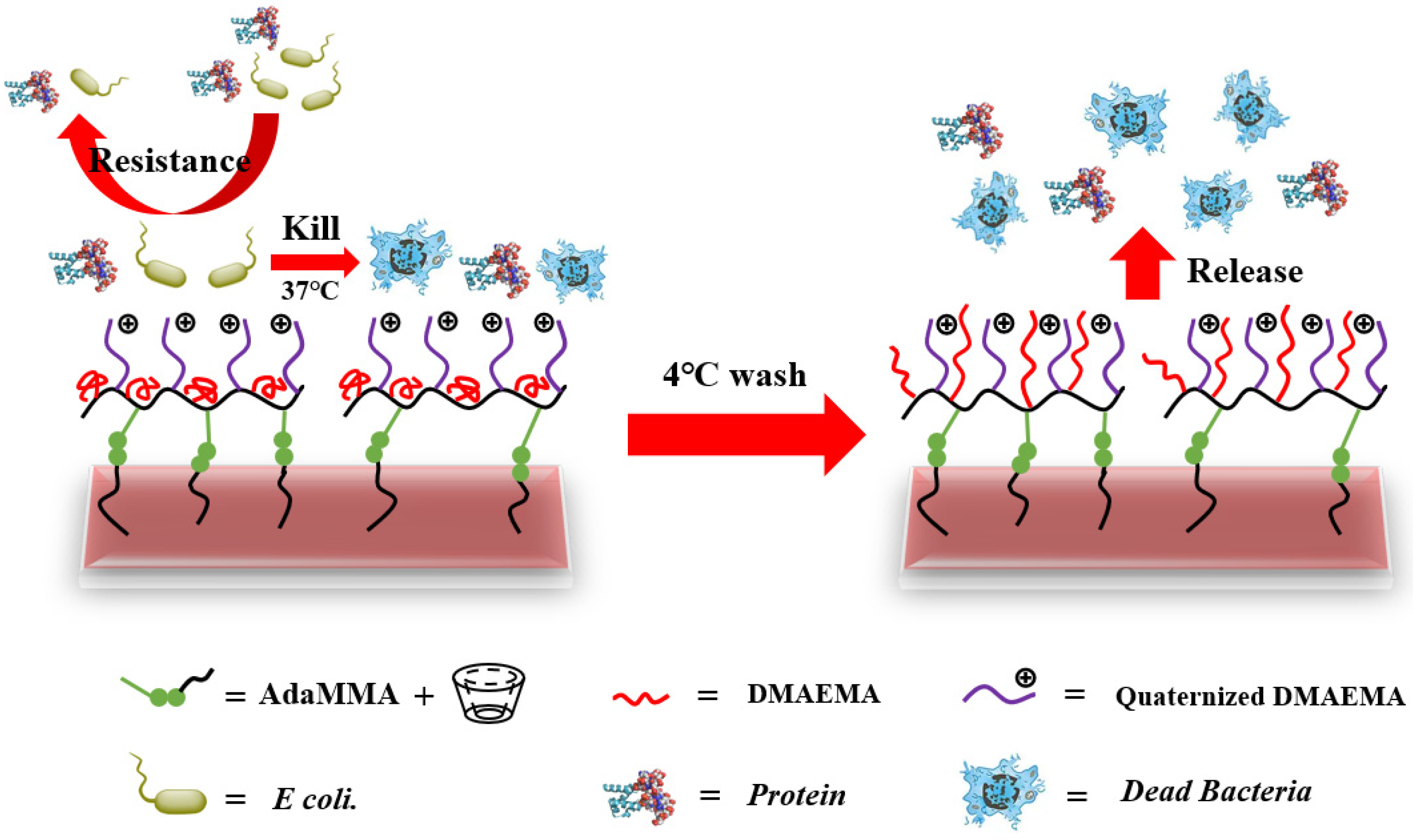 Molecules 27 05059 g012 550