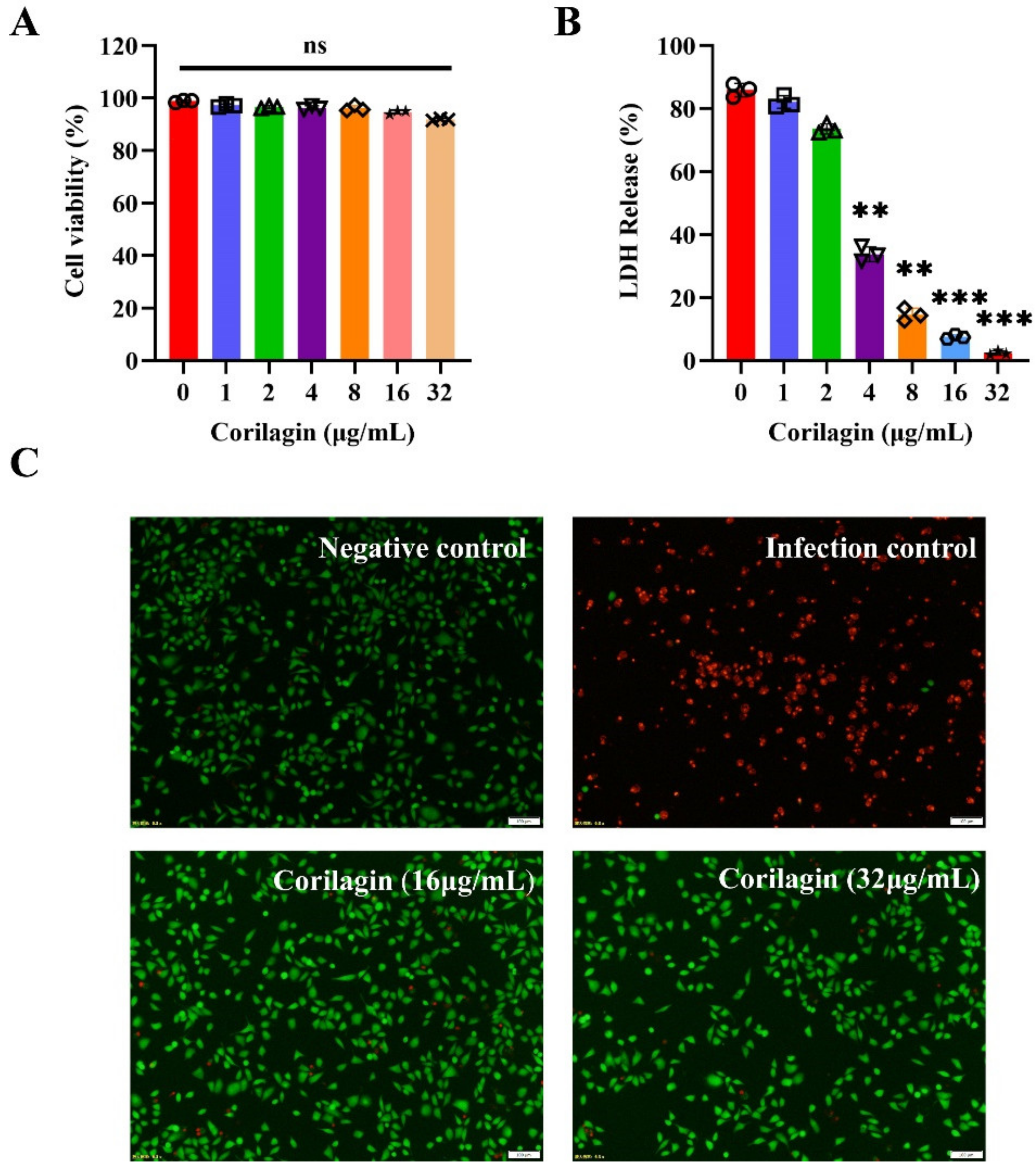 Molecules 27 05063 g003 550
